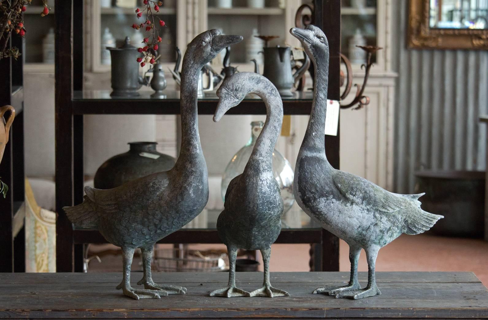 A beautiful hard to find set of three 1920s English zinc snow geese in different poses! Fabulous size and patina.