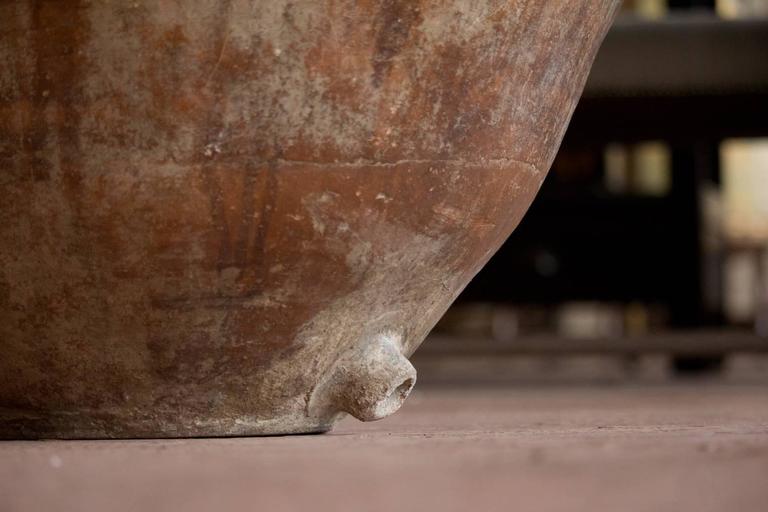 Antique Catalan Olive Pot For Sale at 1stDibs