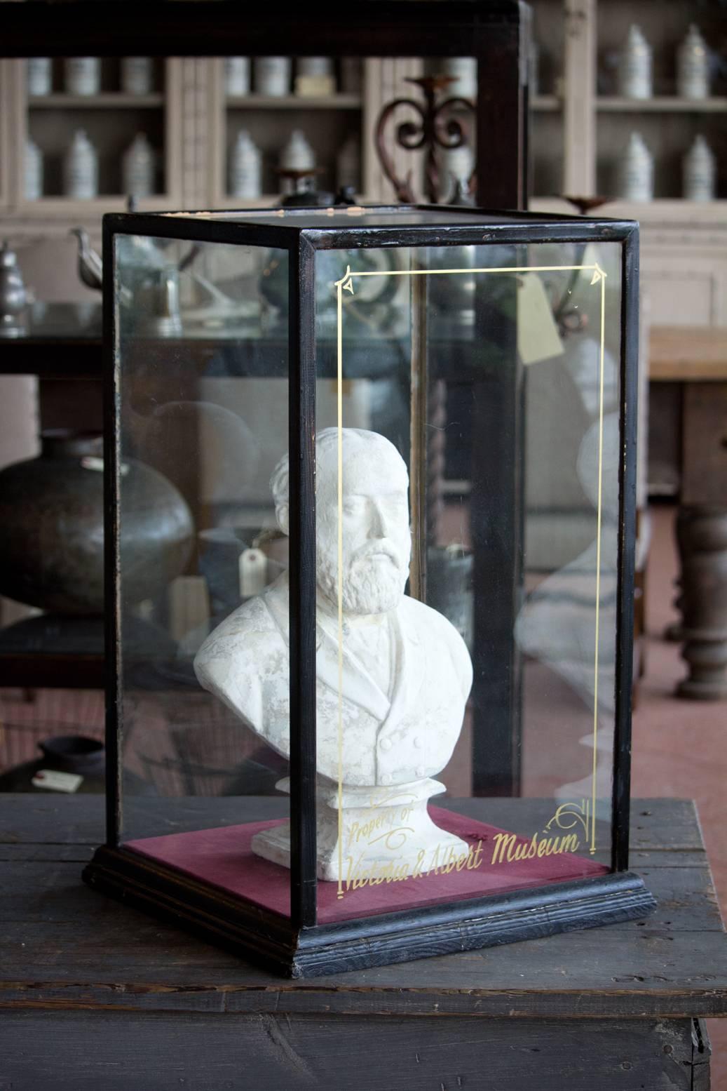 Antique plaster bust of His Royal Highness, King Edward VII, son of Queen Victoria. The bust is displayed in an Edwardian glass case inscribed property of Victoria & Albert Museum, which may have been painted on at a later date.