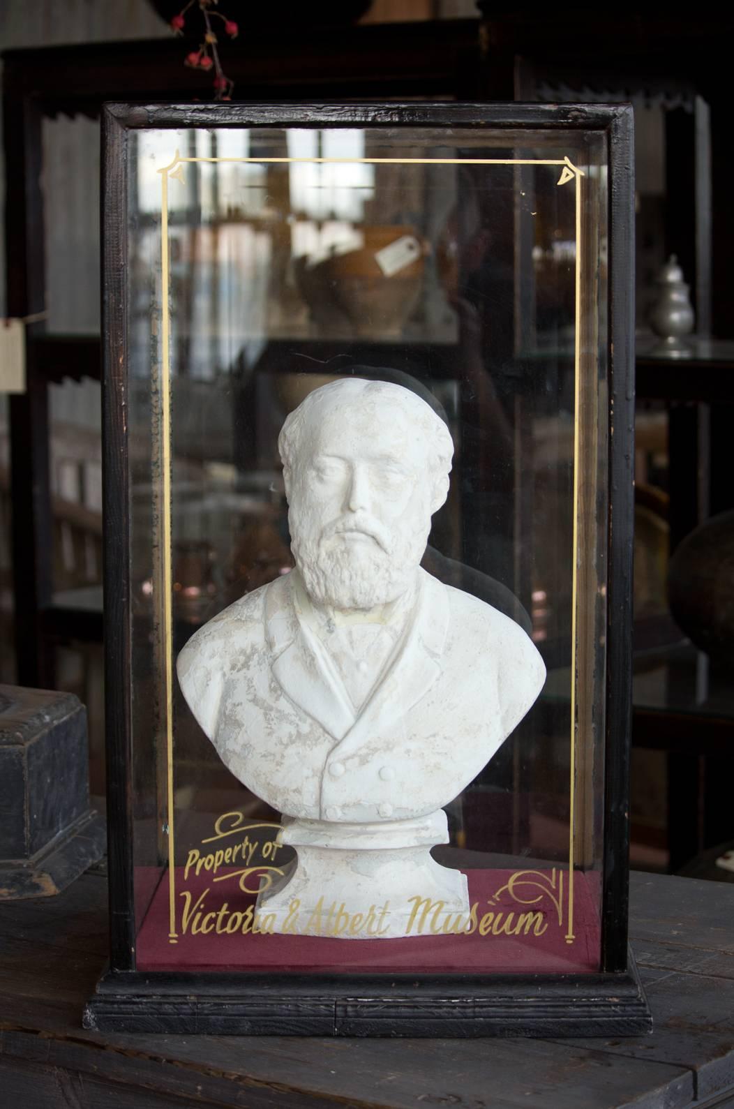 Antique Bust of H.R.H. King Edward VII Displayed in Glass Case 2