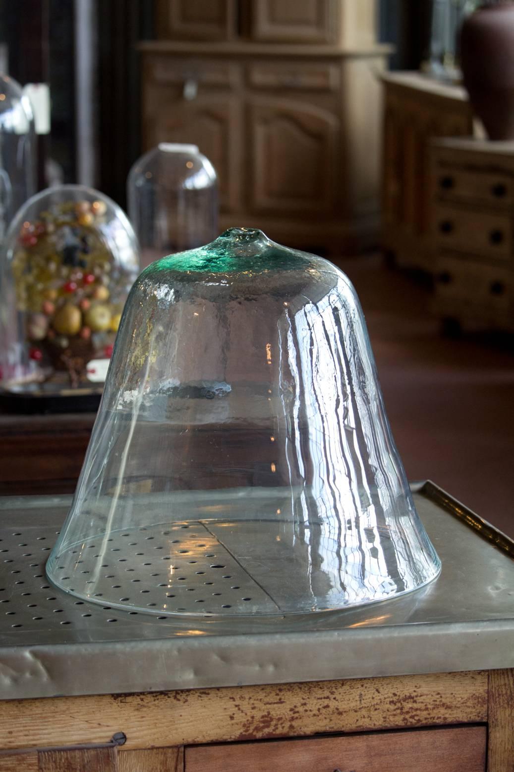 Beautiful large antique English handblown bell cloche with all the variations expected in glass of this age.

Cloches were used to as mini greenhouses to protect saplings in the garden. The clear glass aided the plants in cool weather. 

For
