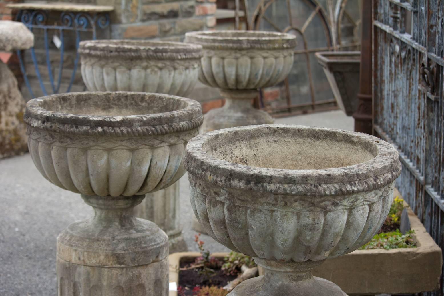 Set of Four Large English Stone Urns on Plinths In Good Condition In Calgary, Alberta