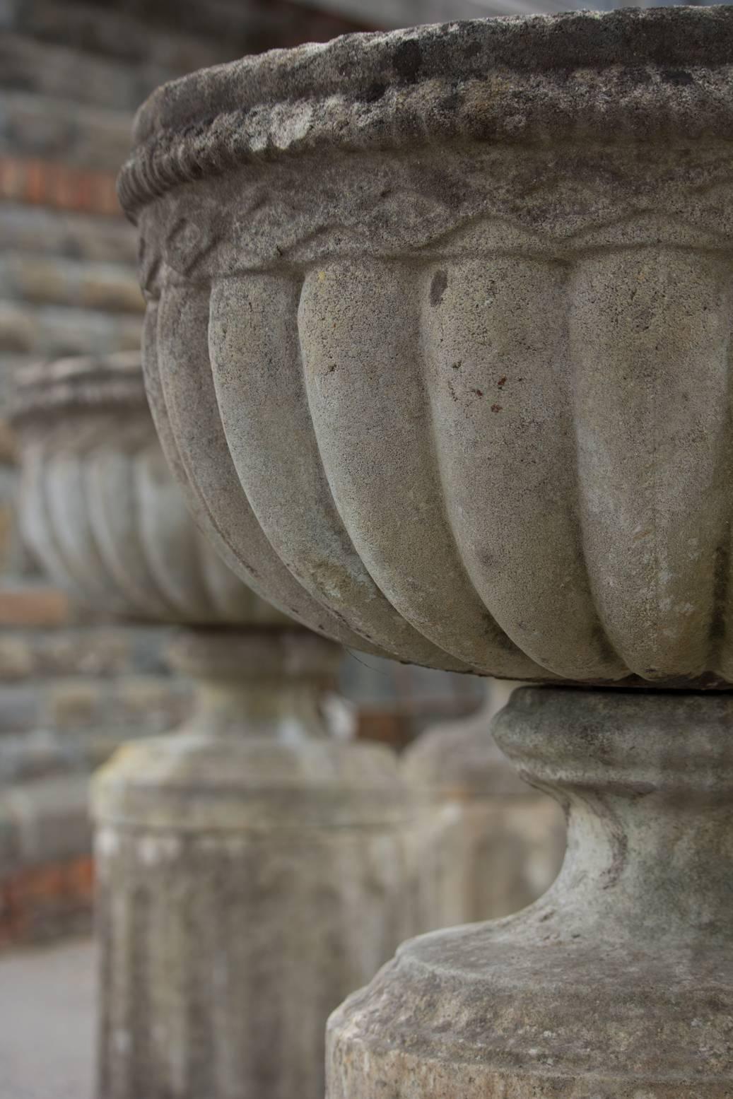 20th Century Set of Four Large English Stone Urns on Plinths