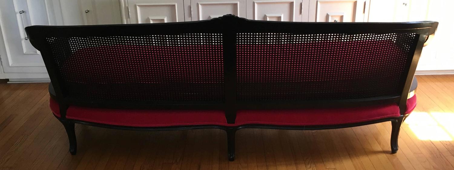 Early 20th Century Cane Back Sofa For Sale at 1stdibs