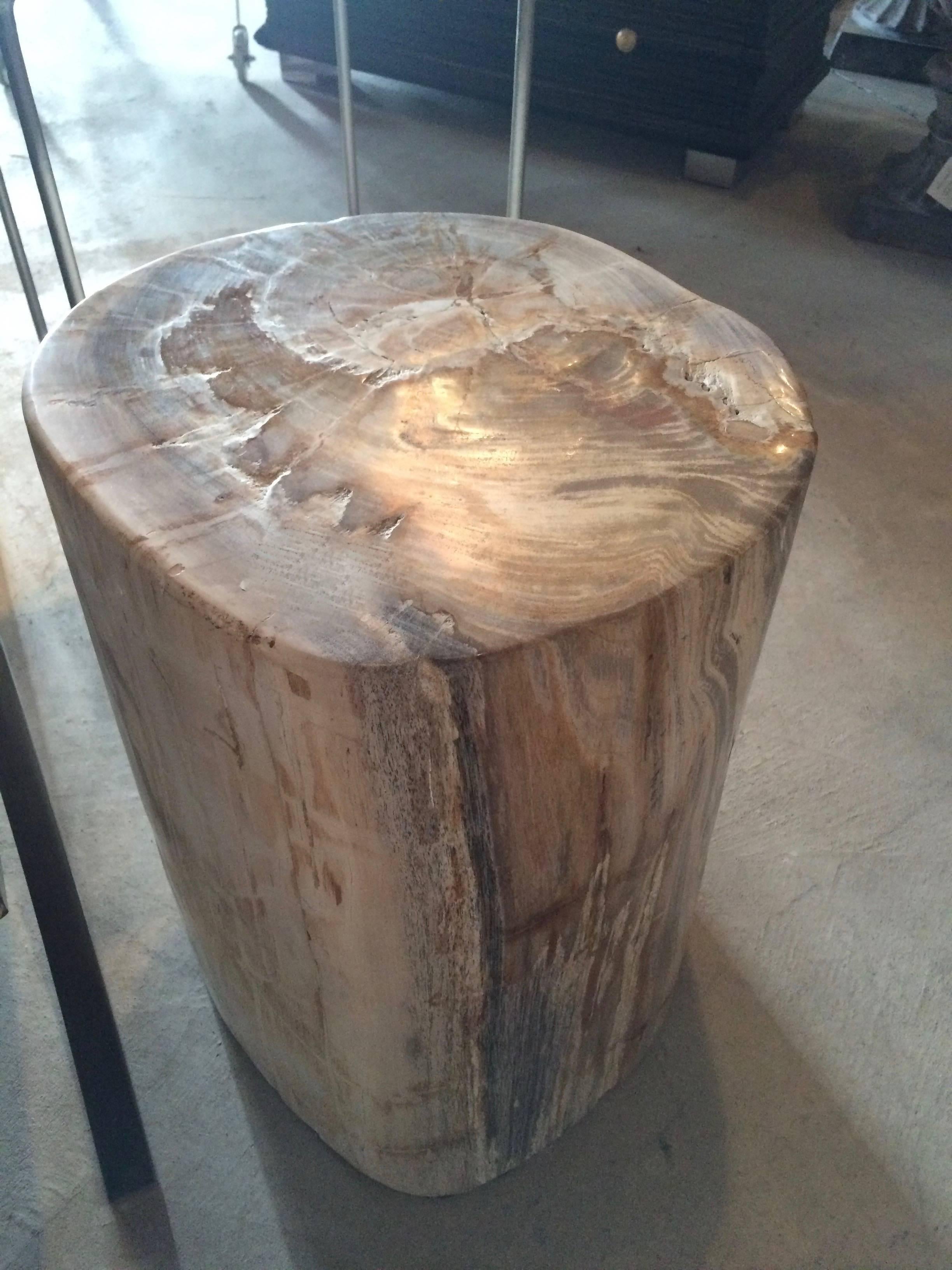 Petrified wood stump, we have pieces in various sizes and colorations. These pieces are a great compliment to the outdoor space as a table or use indoors as well. We also sell many for use inside the indoor or outdoor shower for sitting or storage