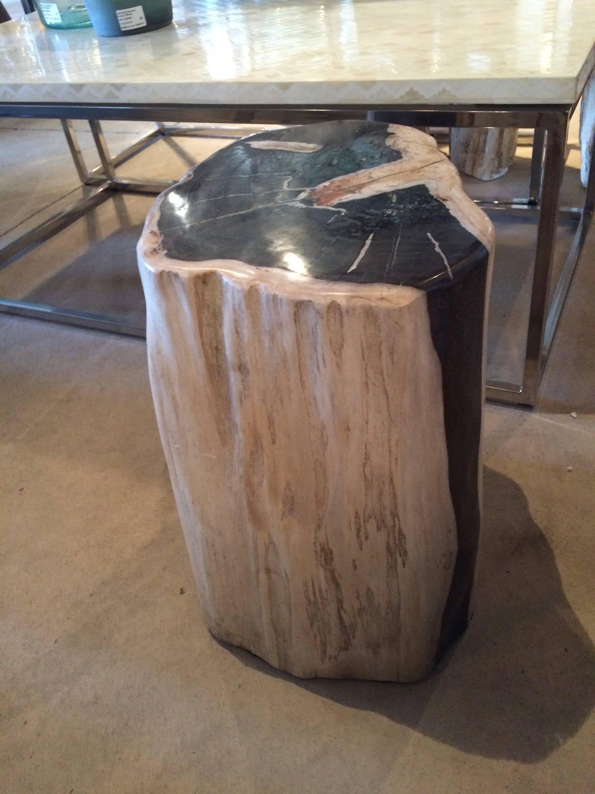 Indonesian Petrified Wood Side Table or Table Base