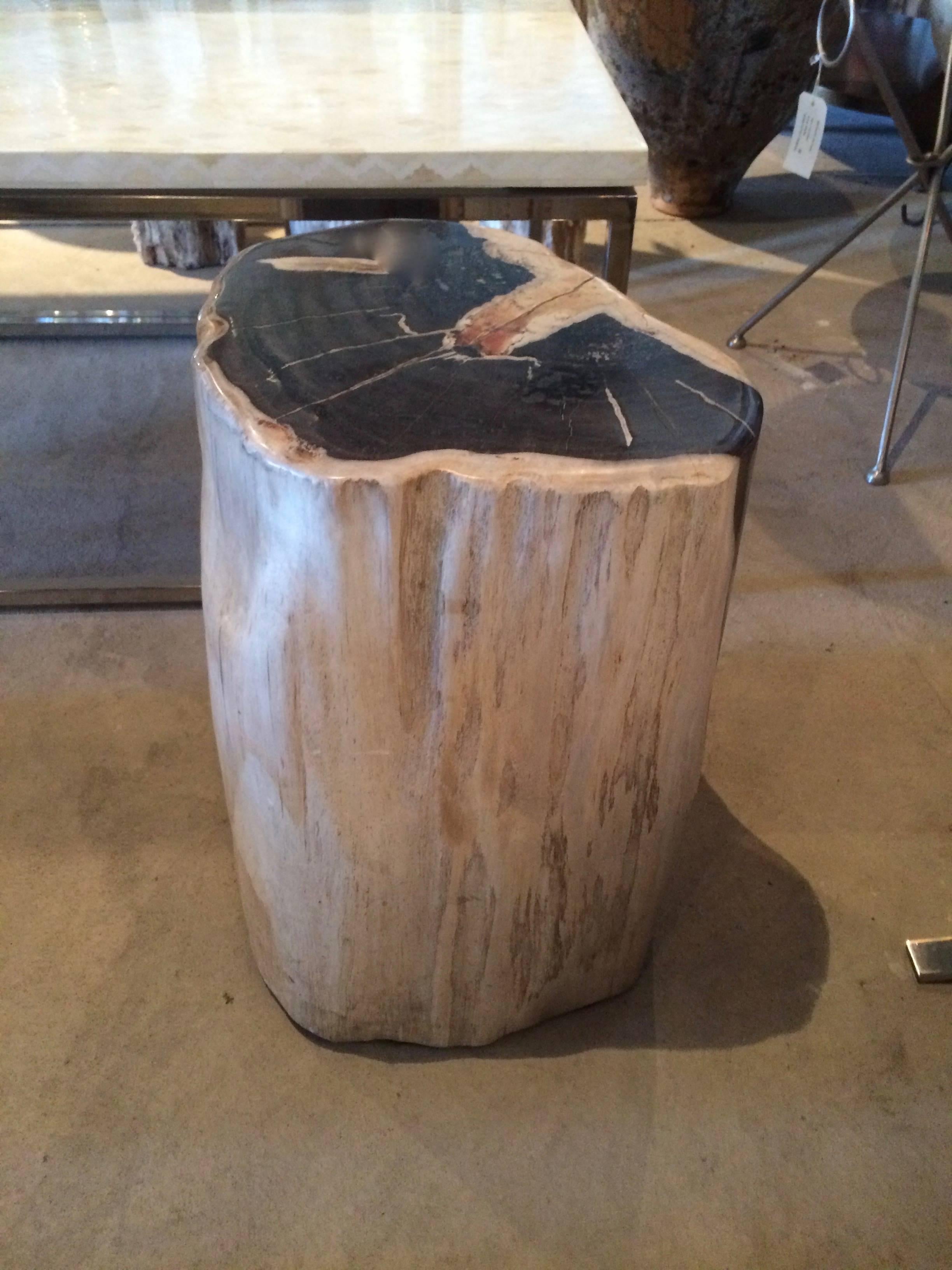 Petrified Wood Side Table or Table Base In Good Condition In Los Angeles, CA