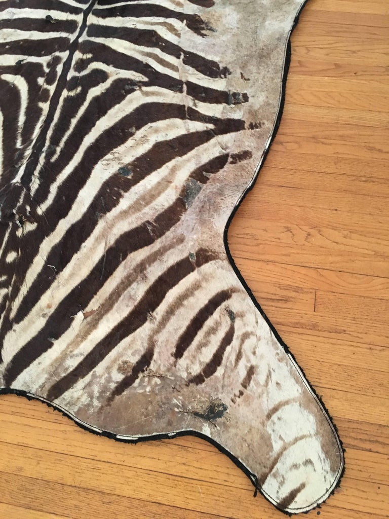 Authentic Vintage Felt Backed Zebra Hide Rug at 1stDibs