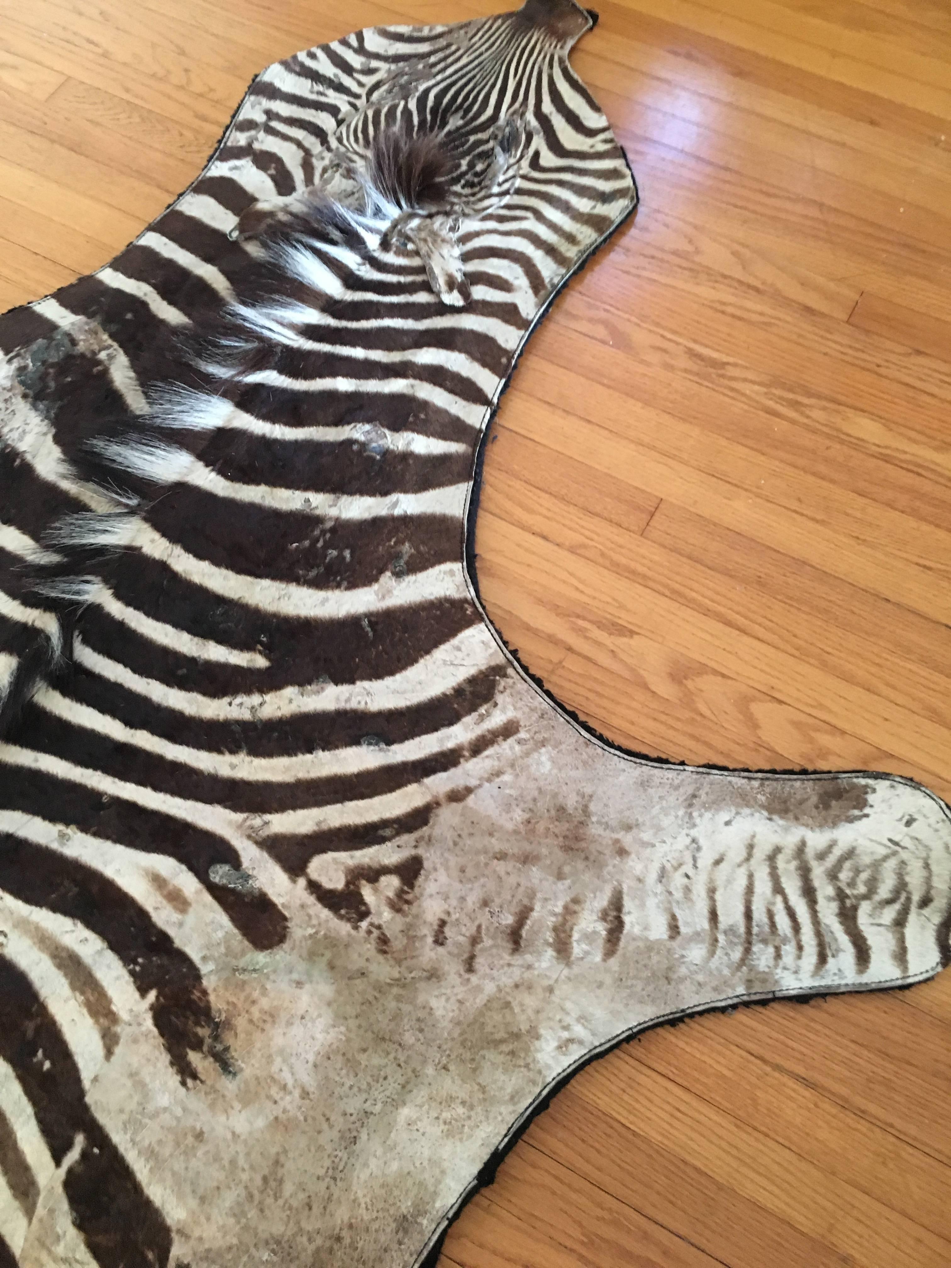 Mid-Century Modern Authentic Vintage Felt Backed Zebra Hide Rug