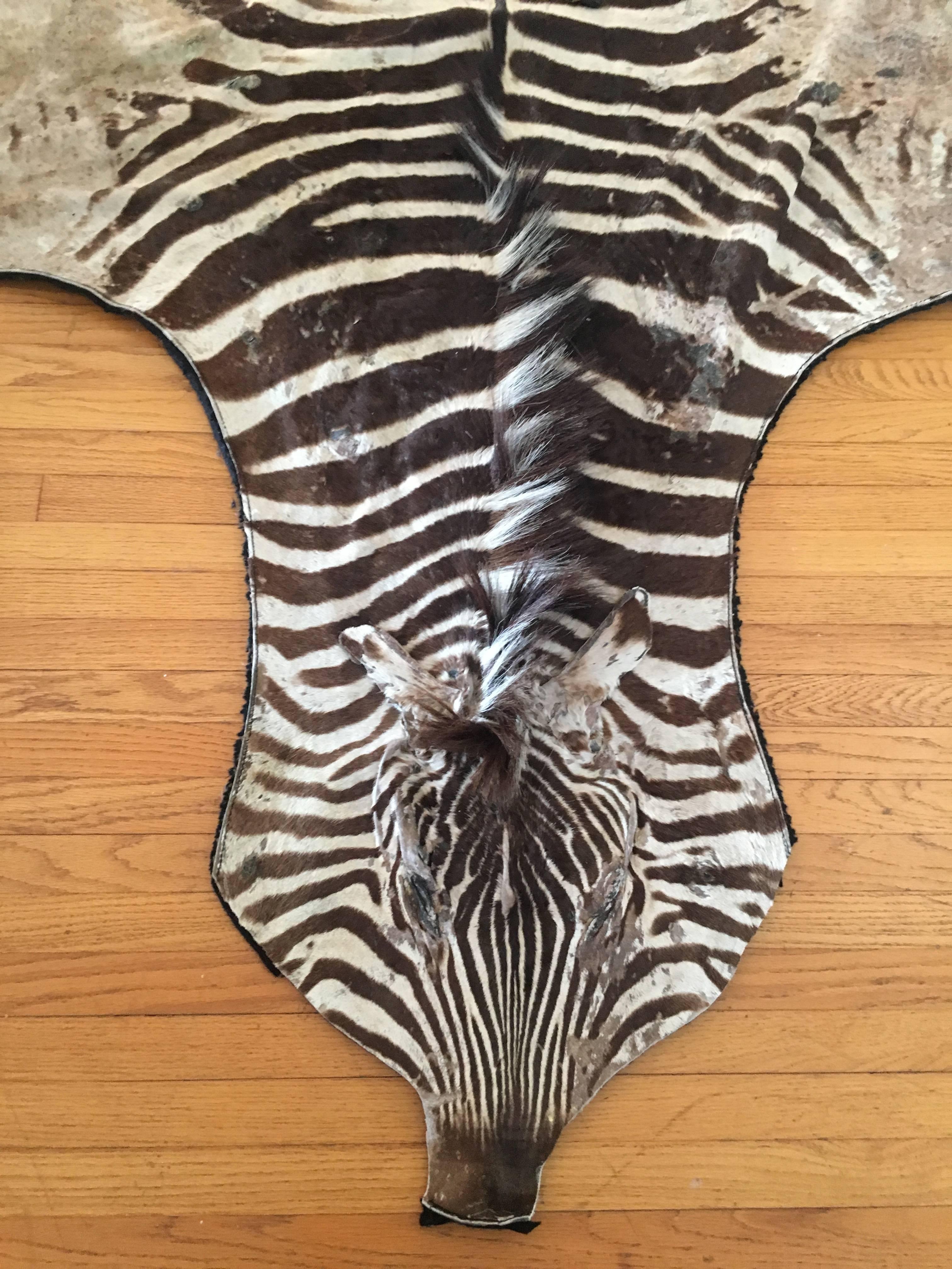 Zambian Authentic Vintage Felt Backed Zebra Hide Rug