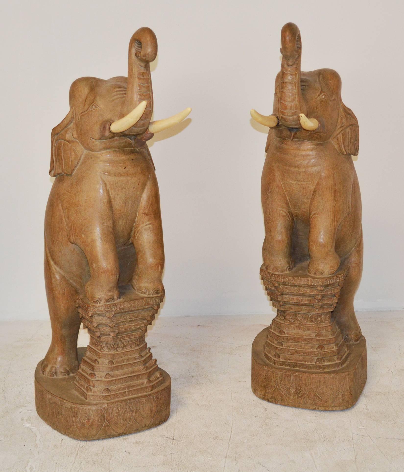 A unique pair of carved wood elephants with bone tusks raised shown with front feet on an integral carved wood plinth. A similar, if not the same, pair appeared in the closing scenes of 