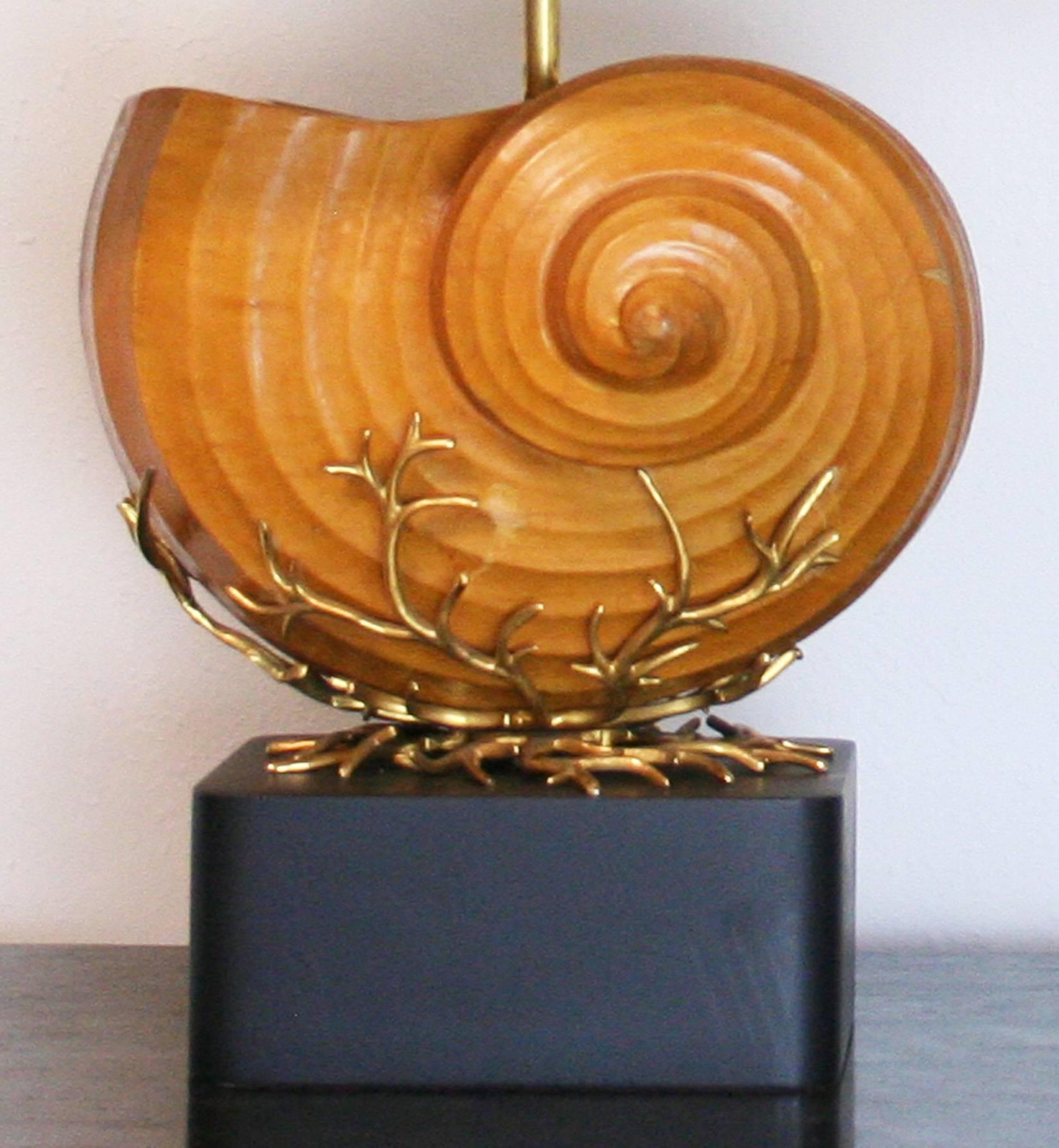 wooden nautilus shell