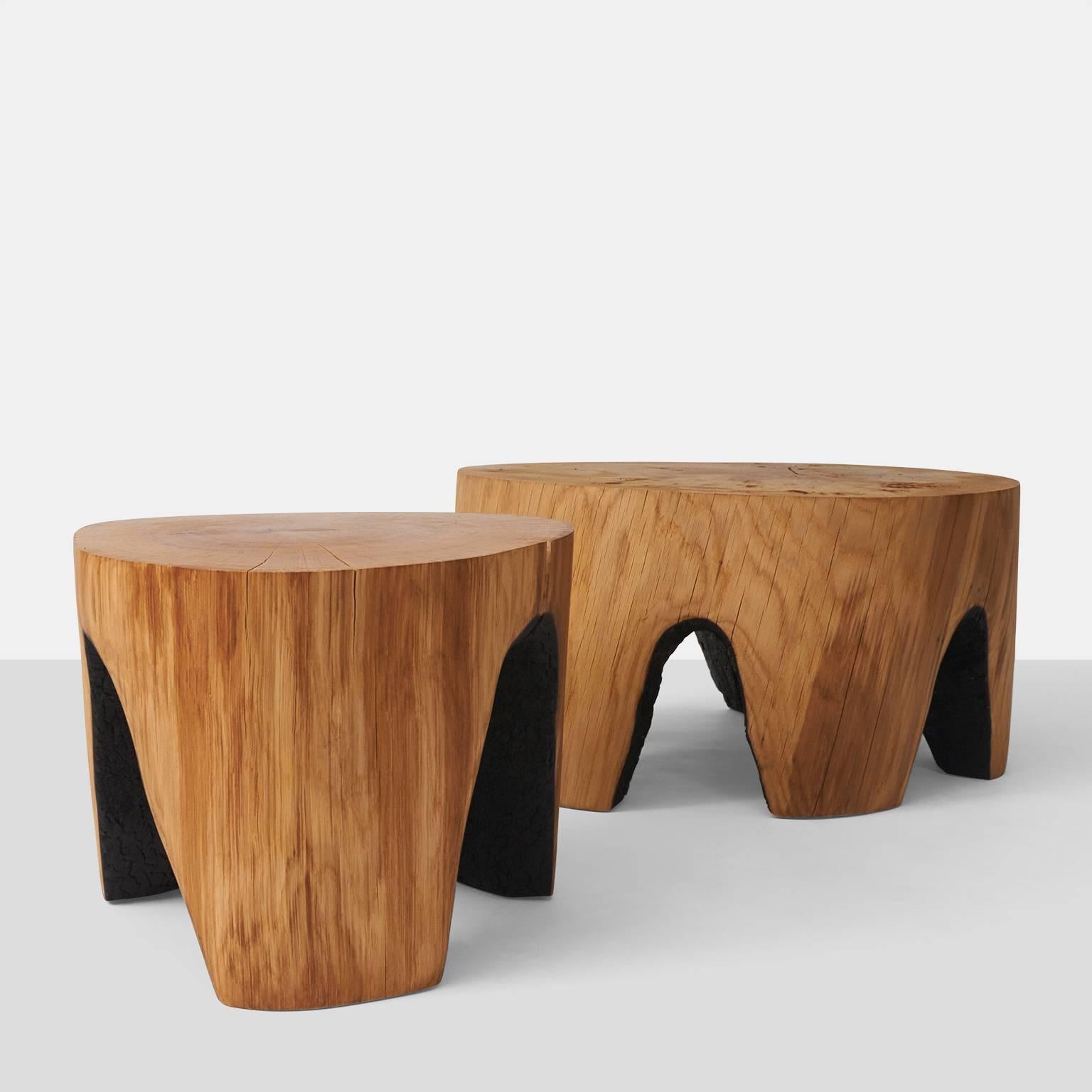 Organic Modern Ausegbrannt Low Coffee Tables by Kaspar Hamacher