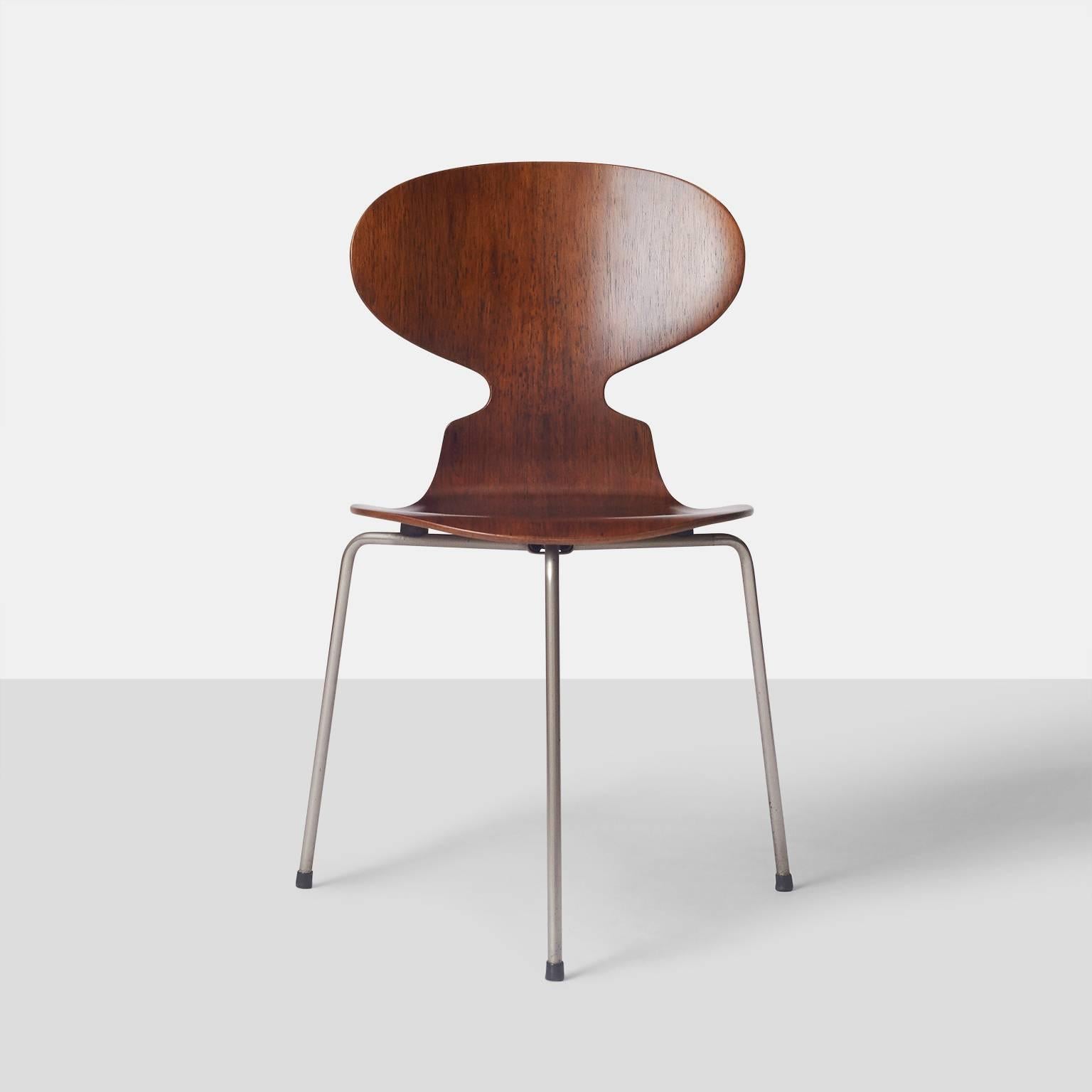 ant chair arne jacobsen