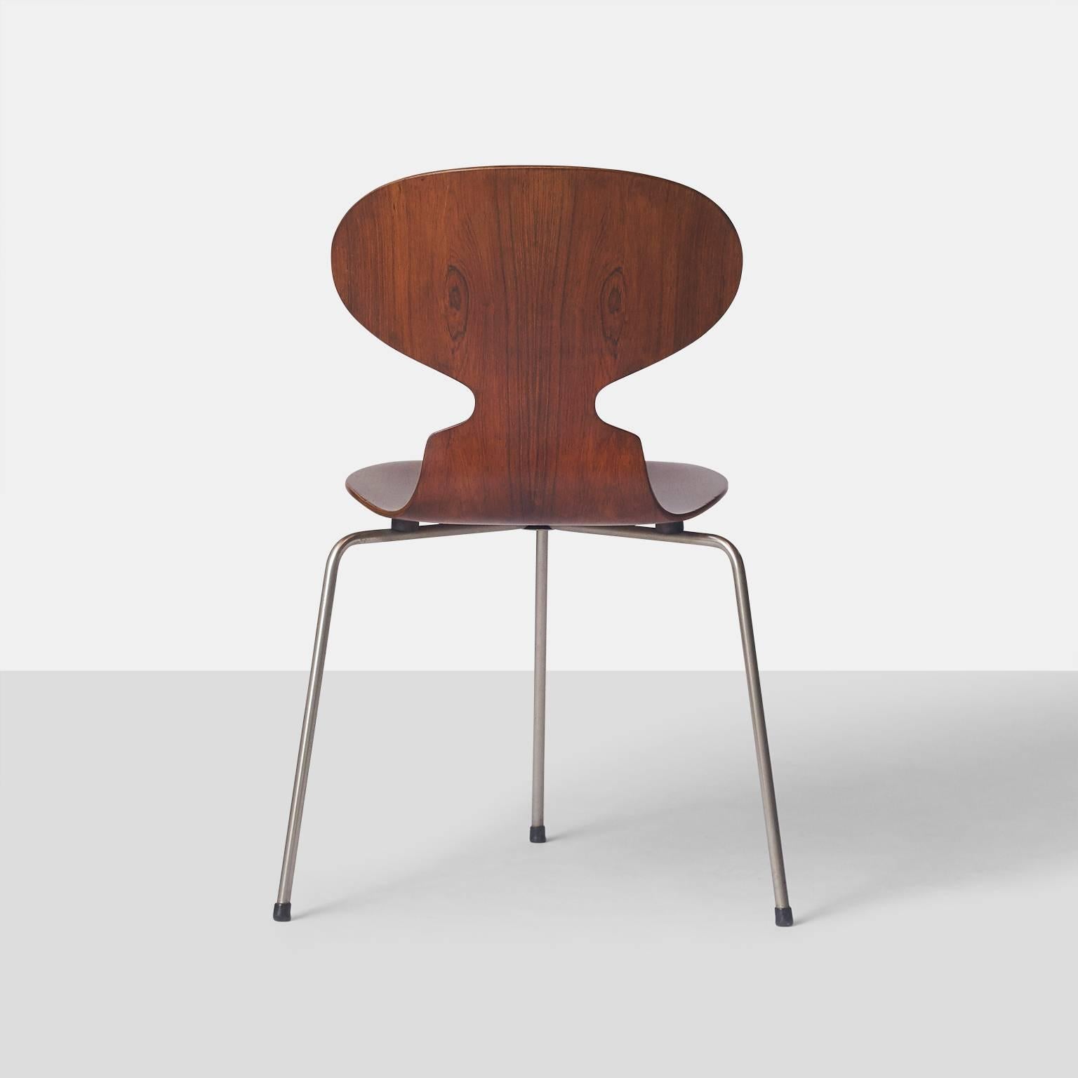Scandinavian Modern Ant Chairs #3100 by Arne Jacobsen