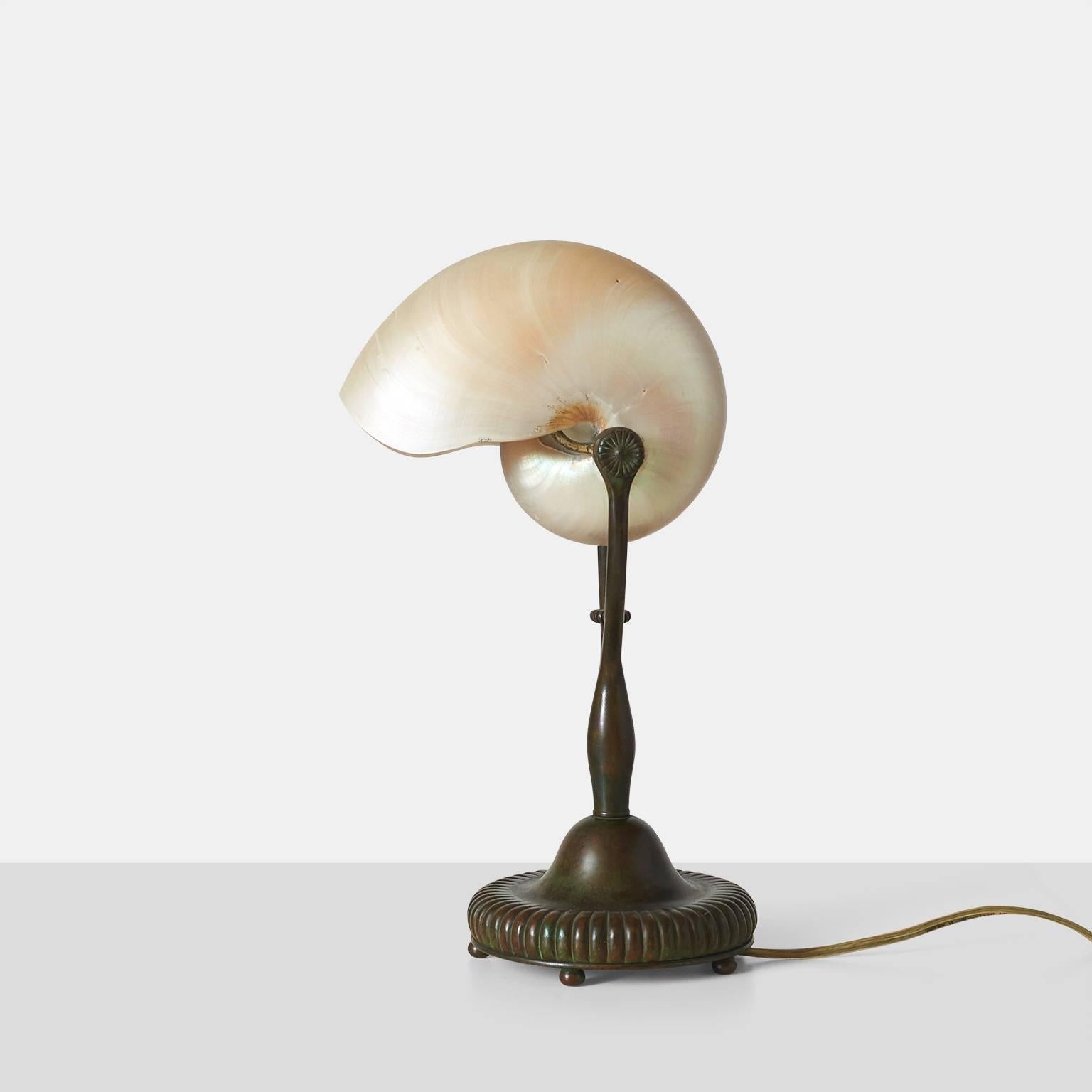 Aesthetic Movement Nautillus Lamp in Bronze by Tiffany Studios