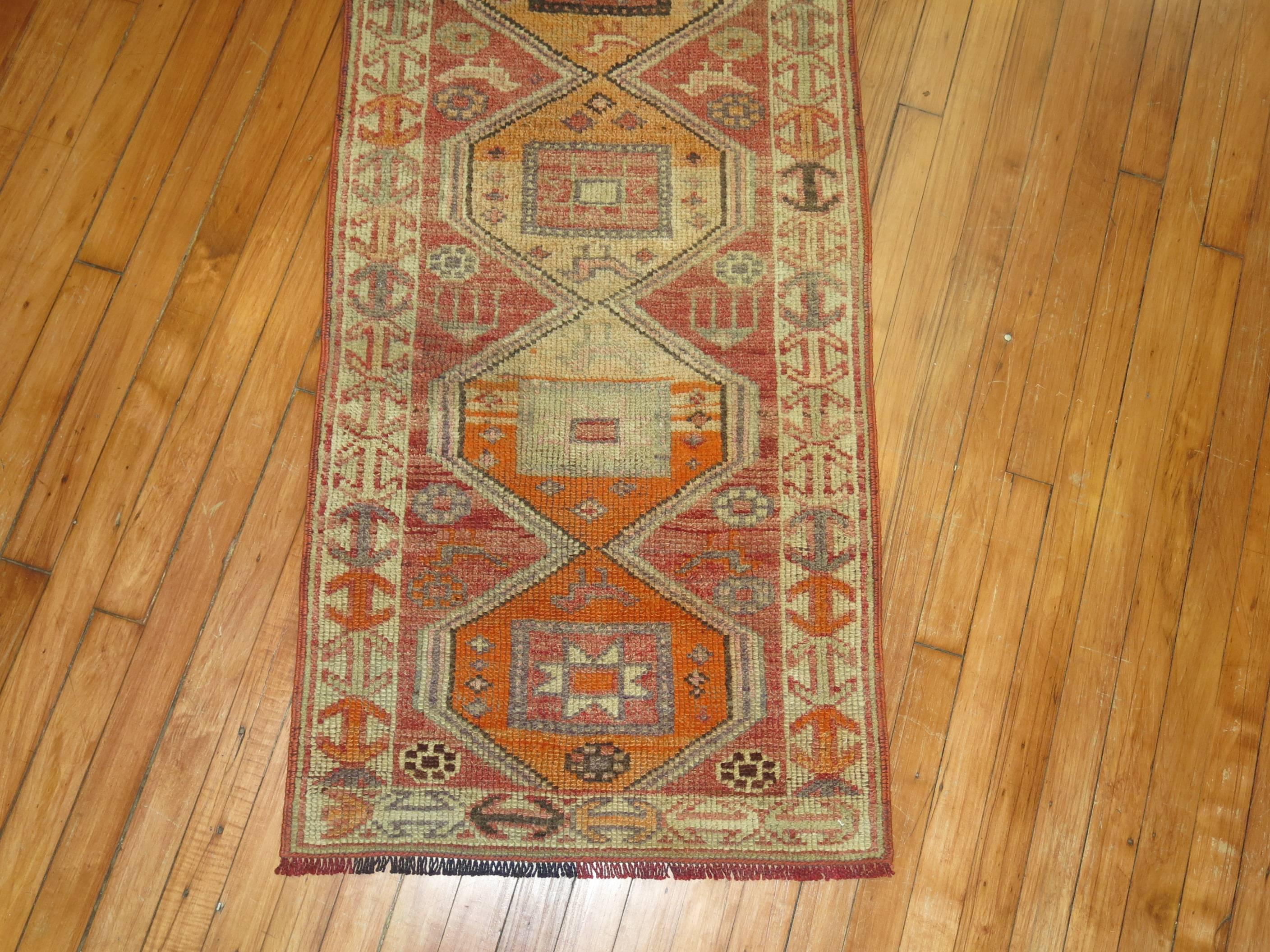 A narrow one of a kind runner with a nomadic, geometric motif.

2'2'' x 10'3''