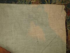 Antique Flemish Verdure Tapestry