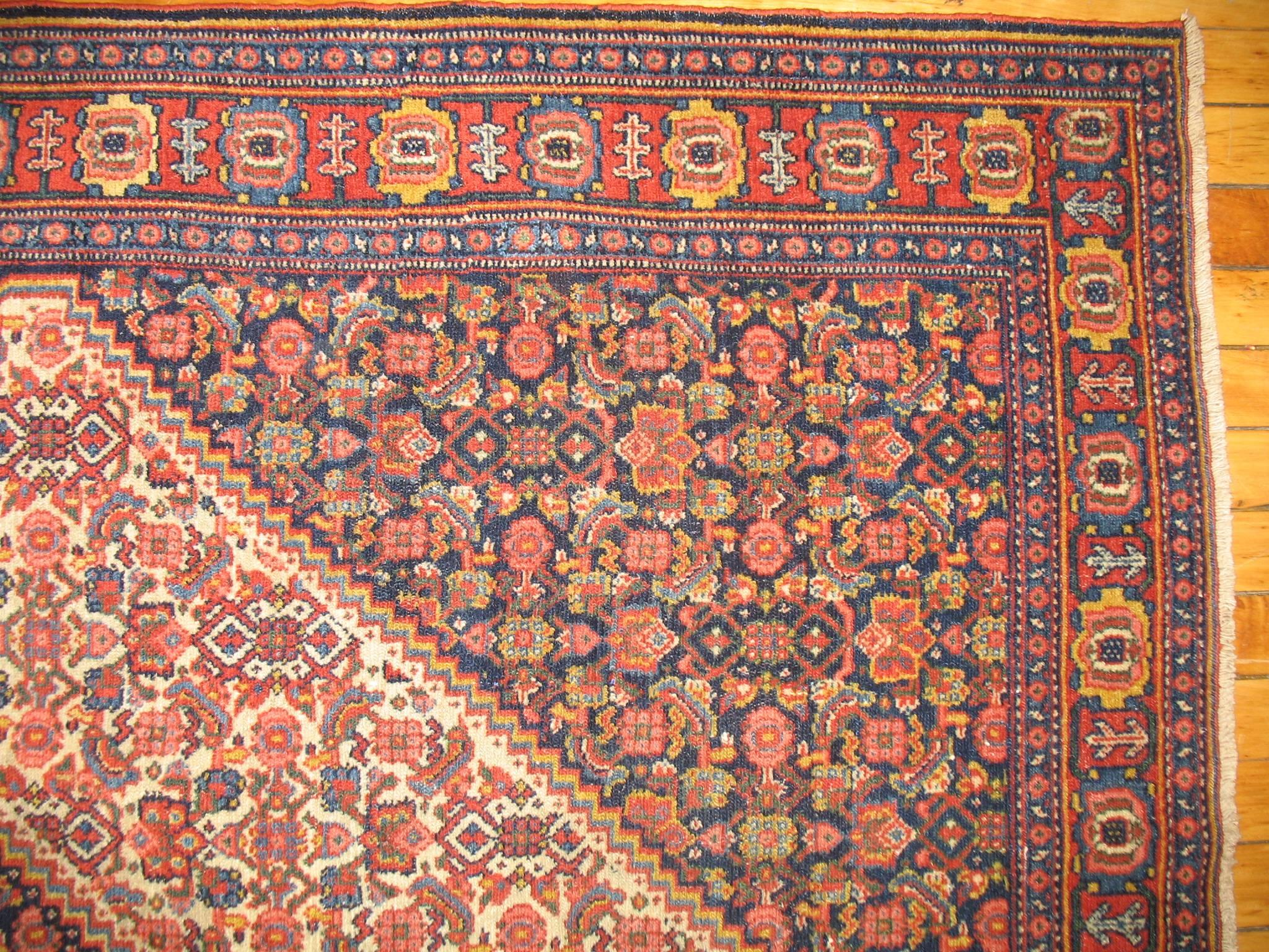 
Antique Senneh rugs come from the Northwest region of Iran and the construction provides insight into the elegance of French tapestries. These rugs are the thinnest of Persian rugs, often with a single layer. They range in color from brilliant to