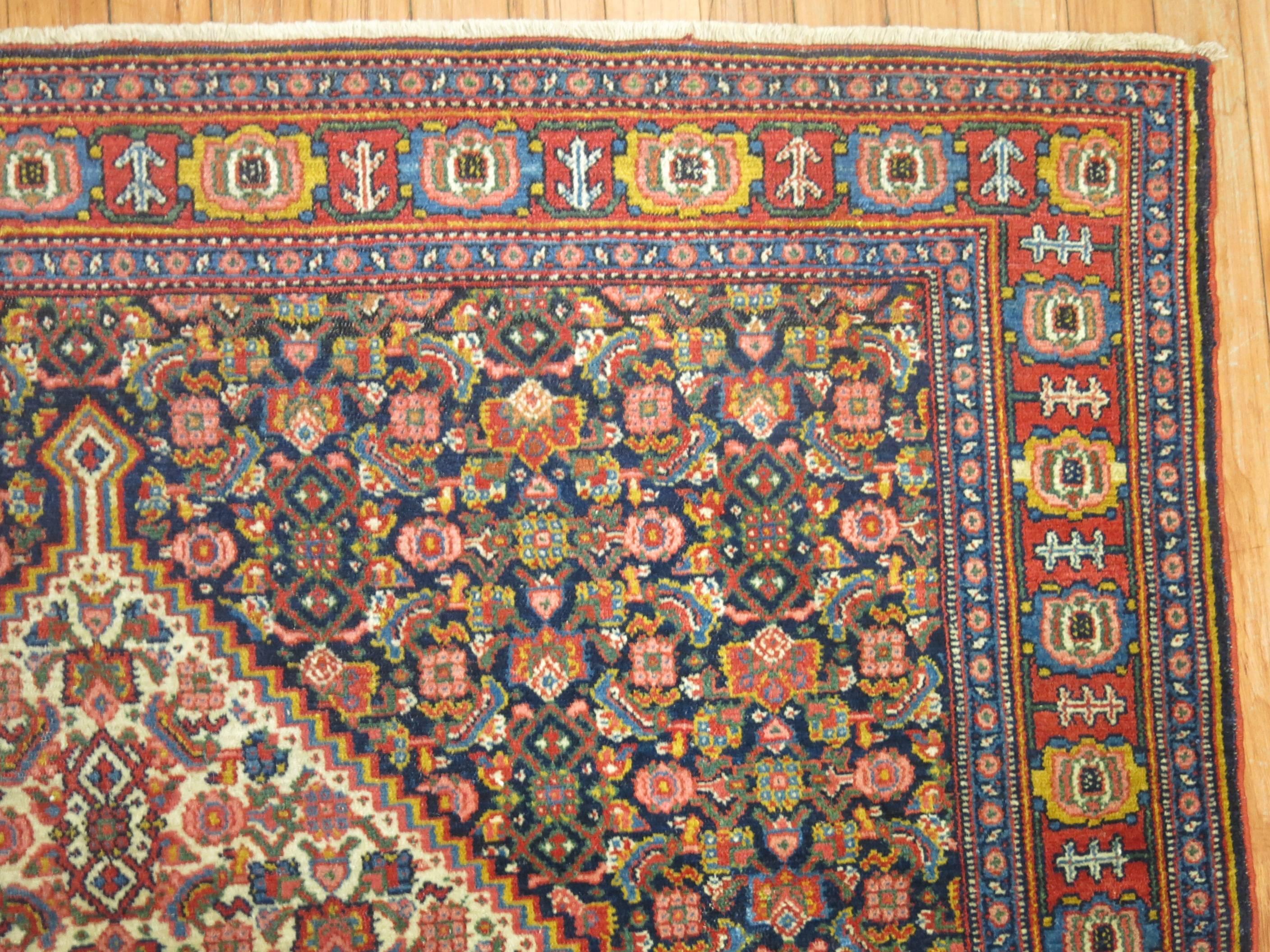 Hand-Knotted Persian Senneh Rug