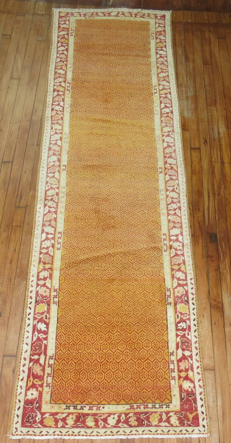 Vintage Turkish Anatolian runner with an interesting repetitive design on an orange peel background.