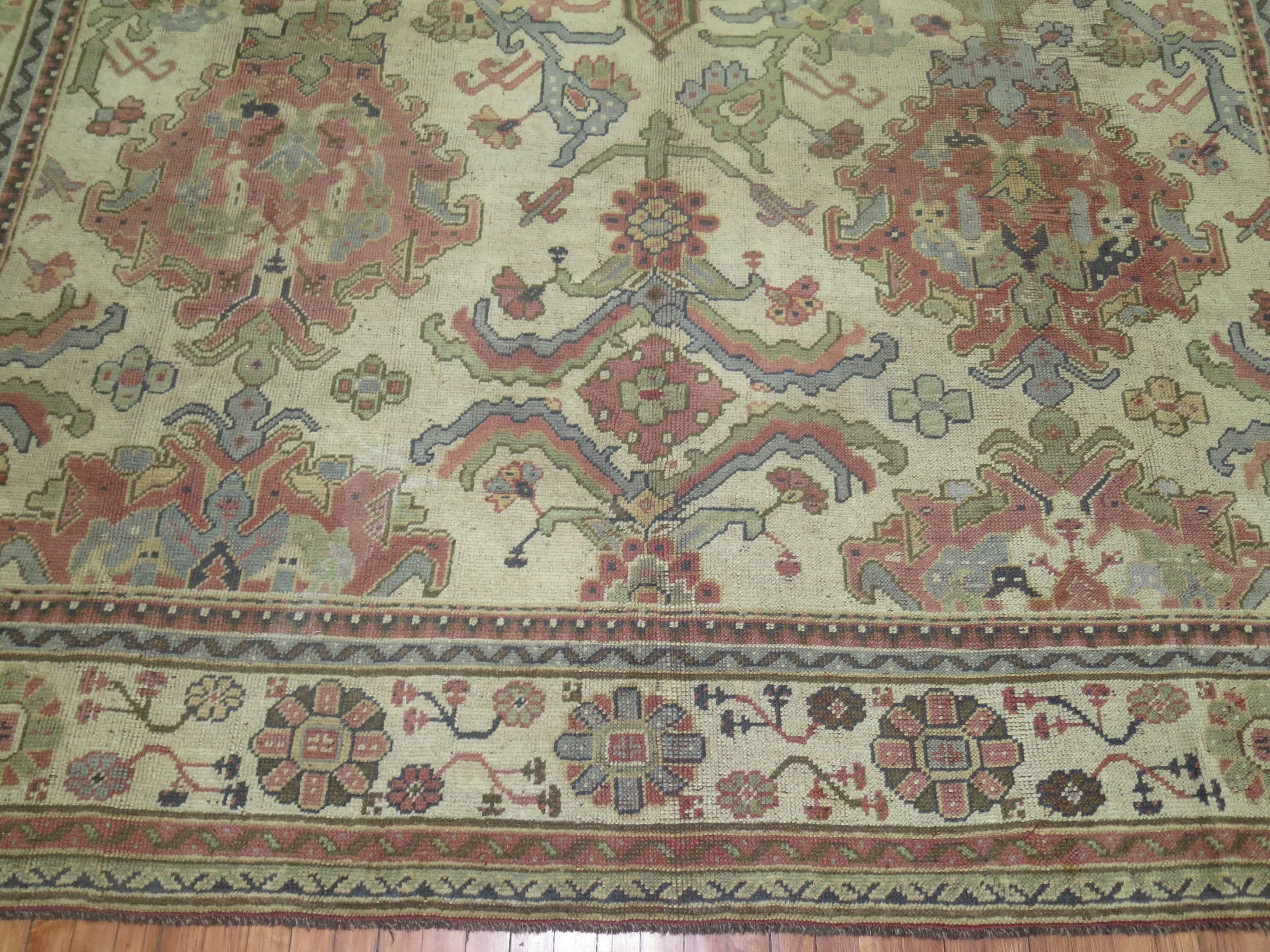 Native American Turkish Oushak Carpet