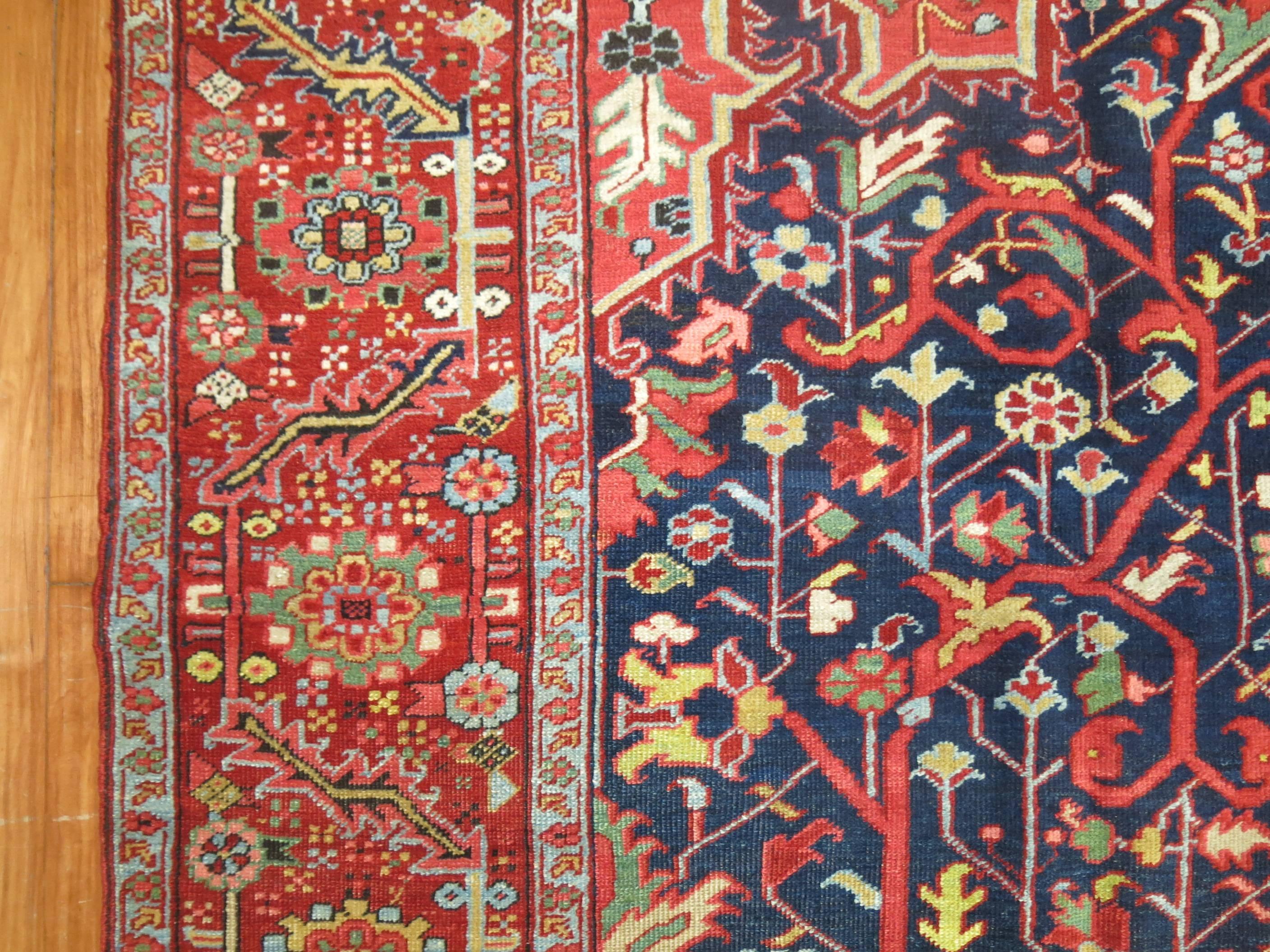 jewel tone carpet