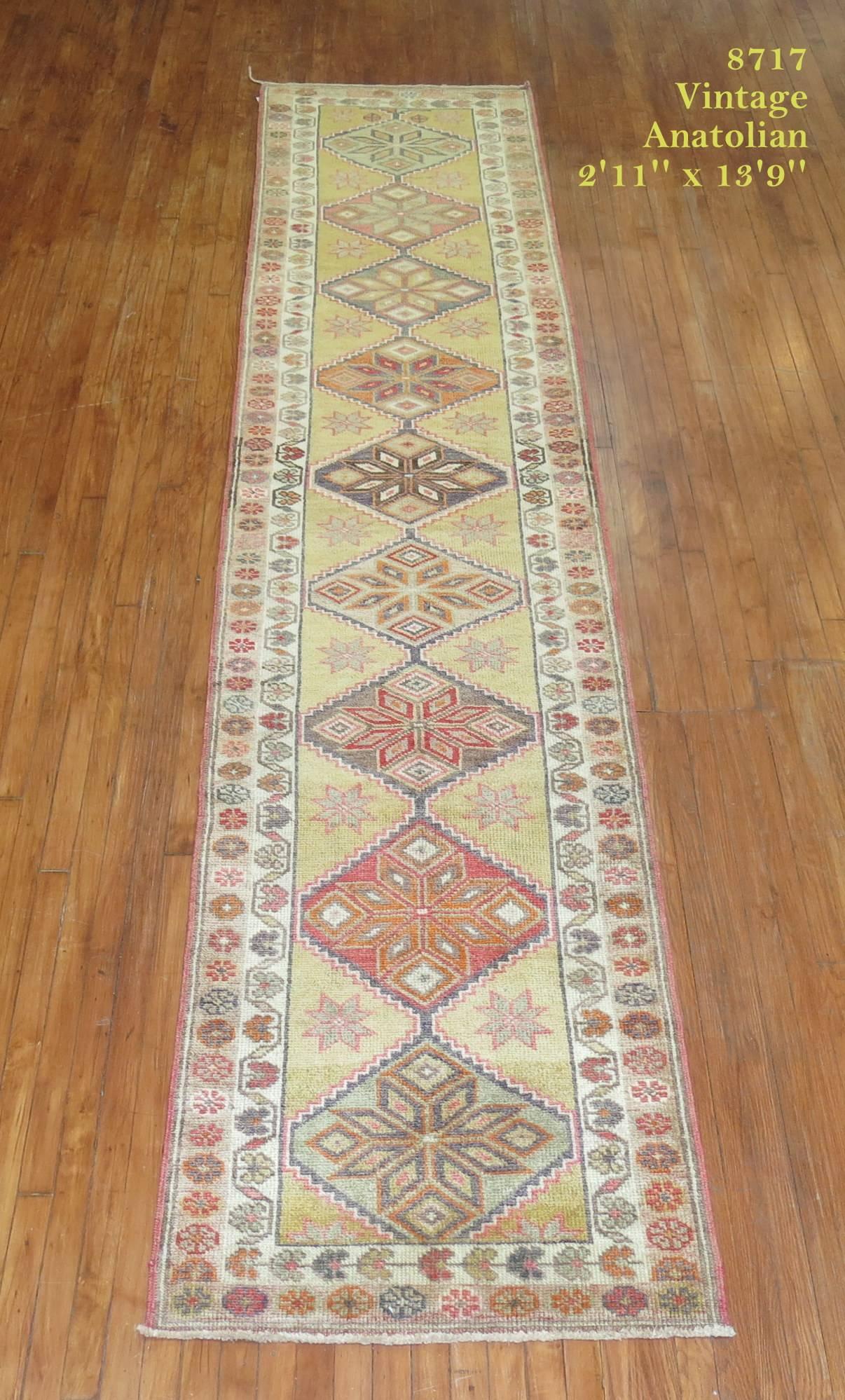 Casual mid-20th century Turkish Anatolian runner. Green yellow gold field with multiple accent colors.

Measures: 2'11