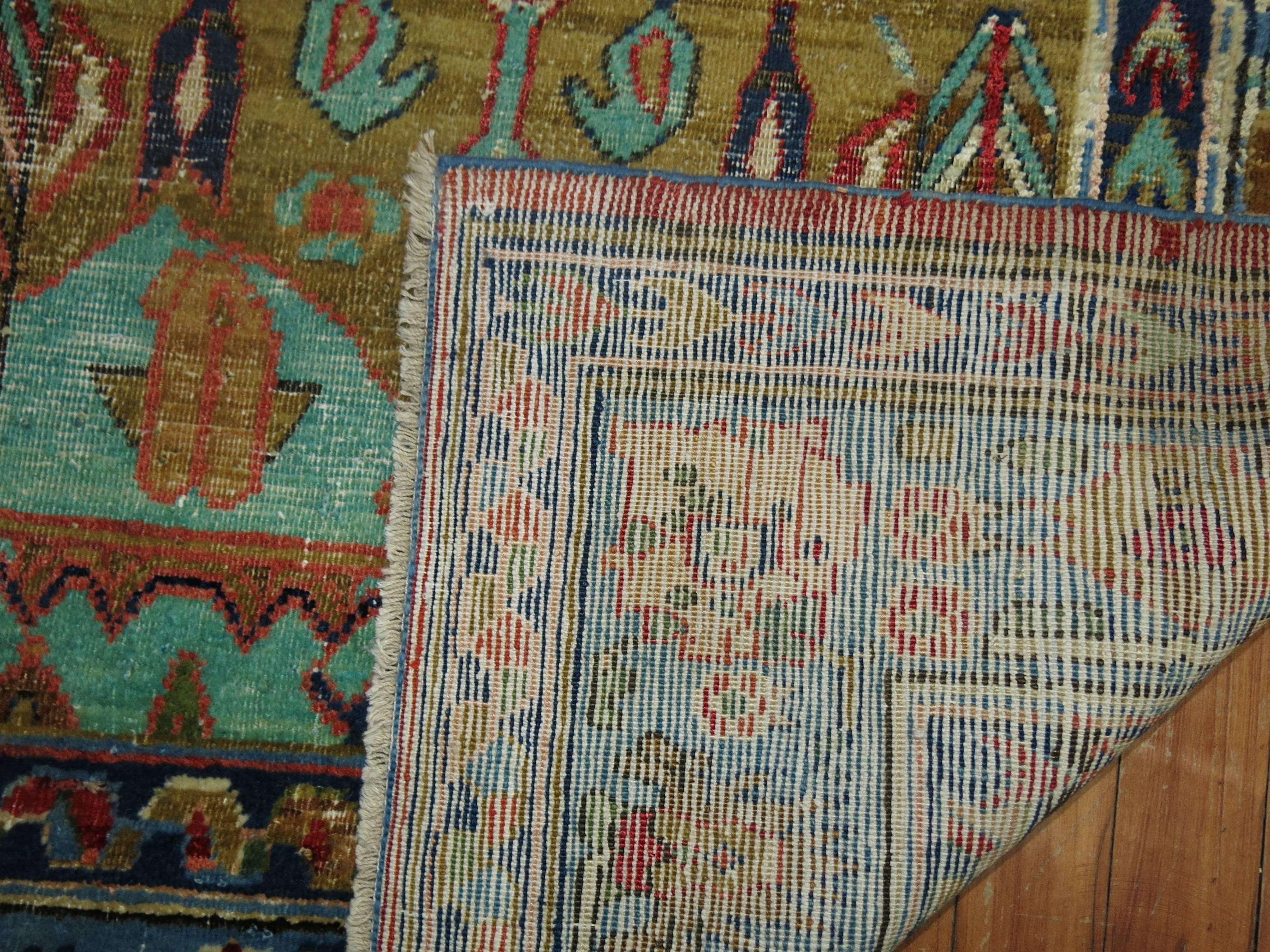 Exotic part silk and wool Samarkand or Khotan rug in array of colors. Part of the rug is woven with silk along both borders. We are guessing the weaver didn't have enough silk to use to make the entire rug.