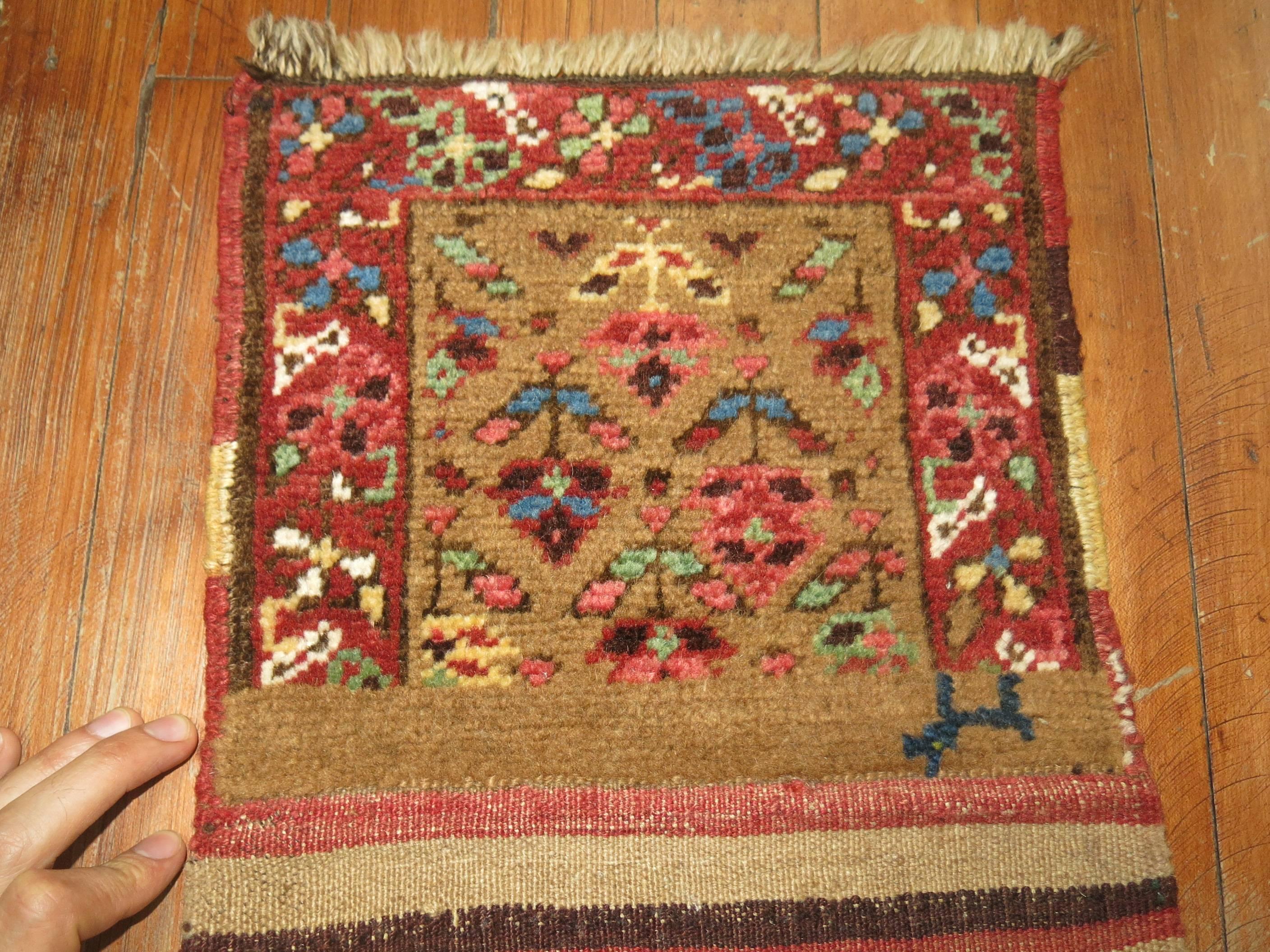 Rare collector level tribal Bagface woven in city of Bakshaish. The weaver intentionally added Kilim in one end giving it a unique feel.