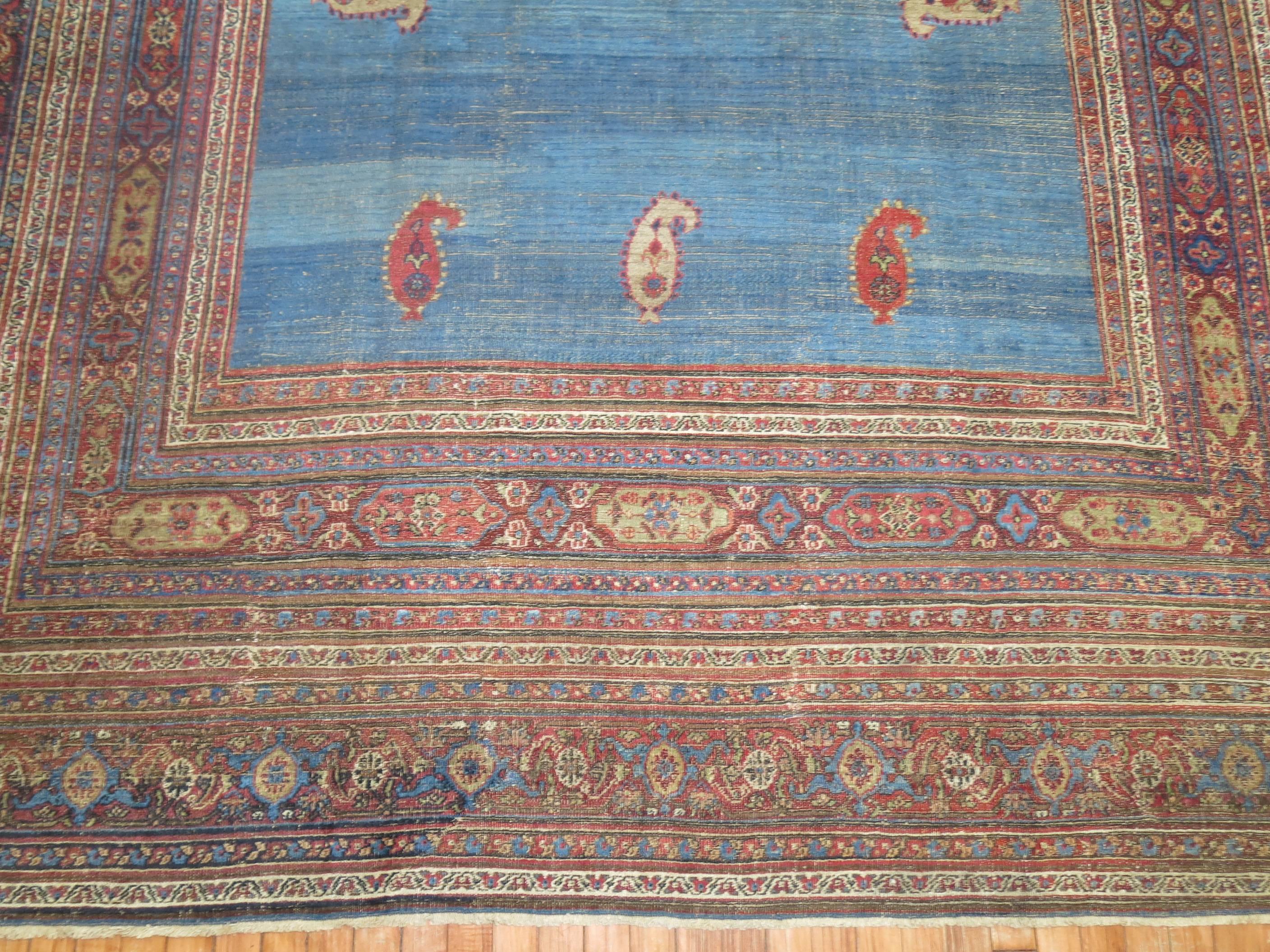 Unique Persian Doroksh carpet with multiple boteh motifs on a solid sky blue ground encased by multiple borders.

Antique Dorokhsh carpets are very much a decorator's carpet. Colors tend to be subtle and can often be of substantial size. This