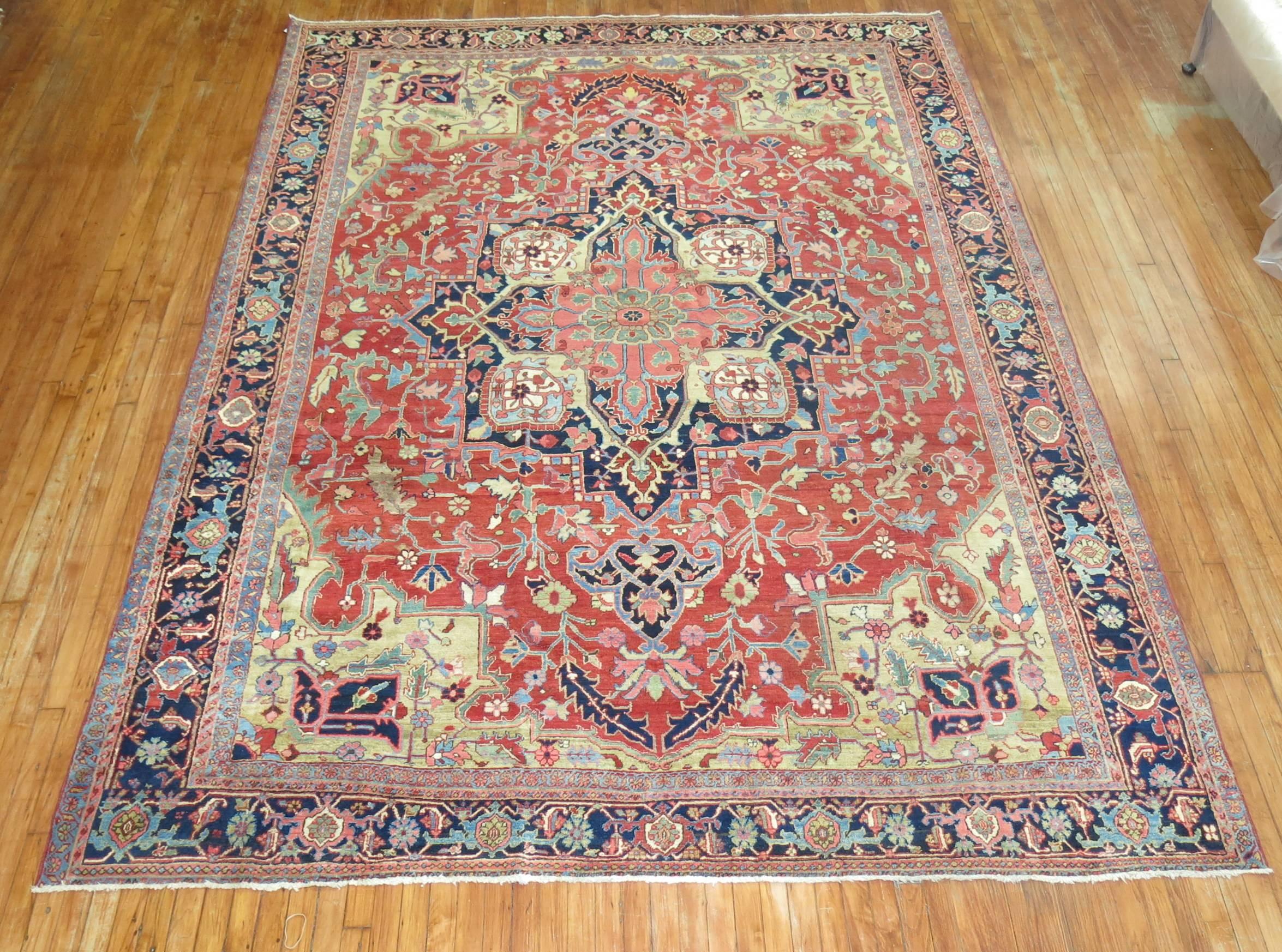 Colorful Persian Serapi Heriz carpet with a watermelon red field and navy blue medallion and border. This piece is finely woven and in full pile condition. Dimensions: 8'6