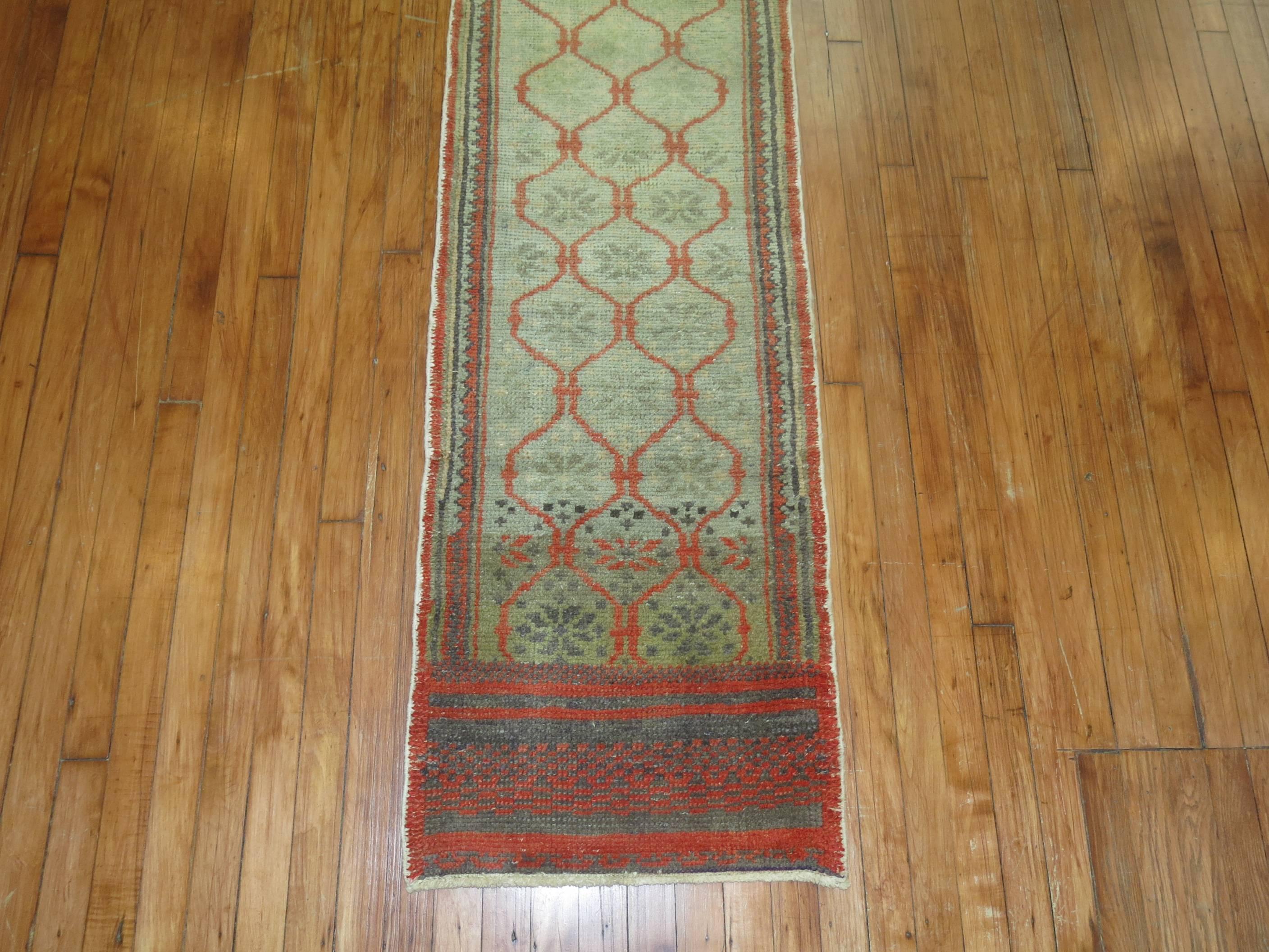 Narrow one of a kind vintage Turkish runner featuring an all-over motif in red on a sea green background.

Measures: 1'10