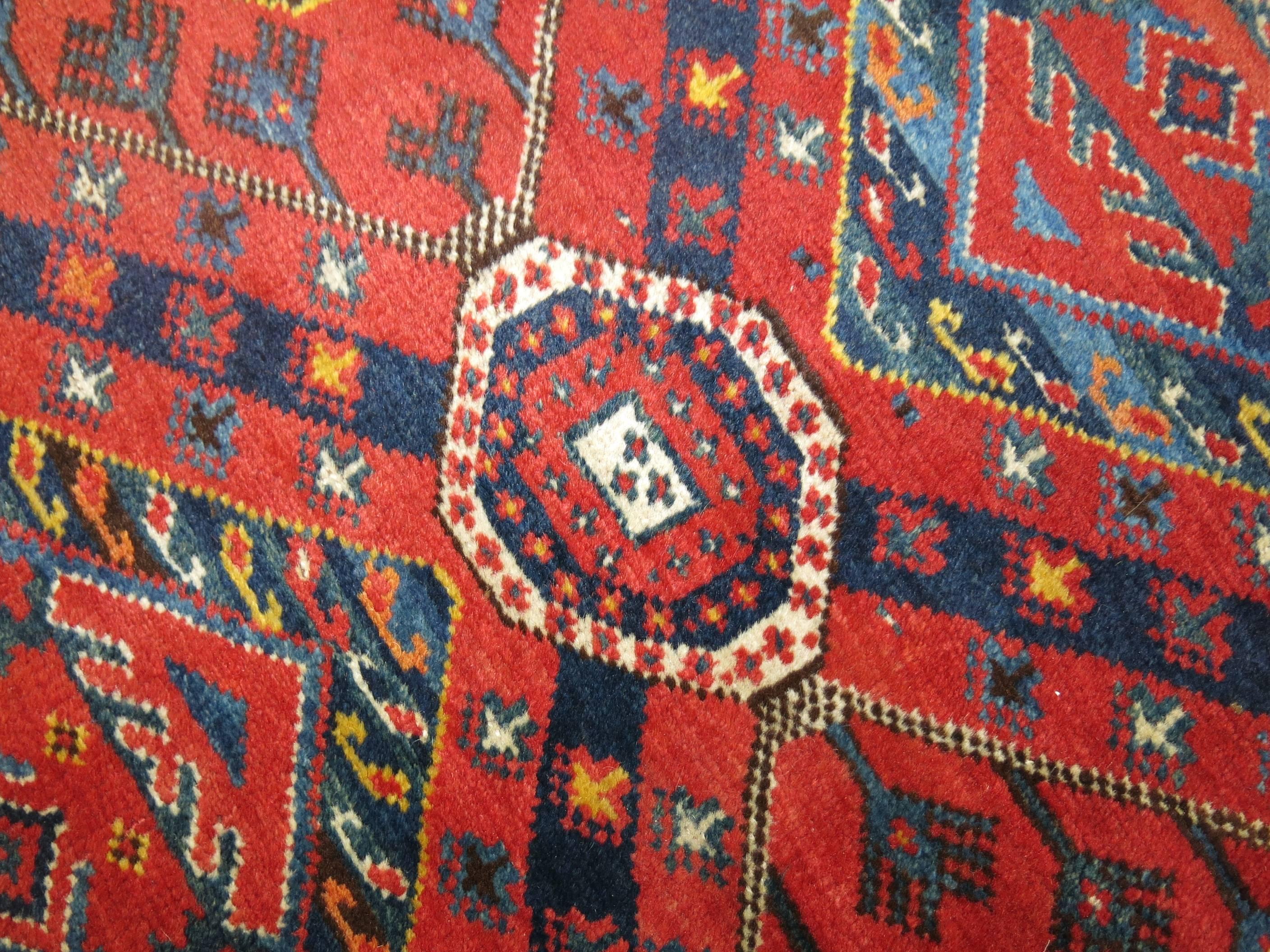 beshir rug