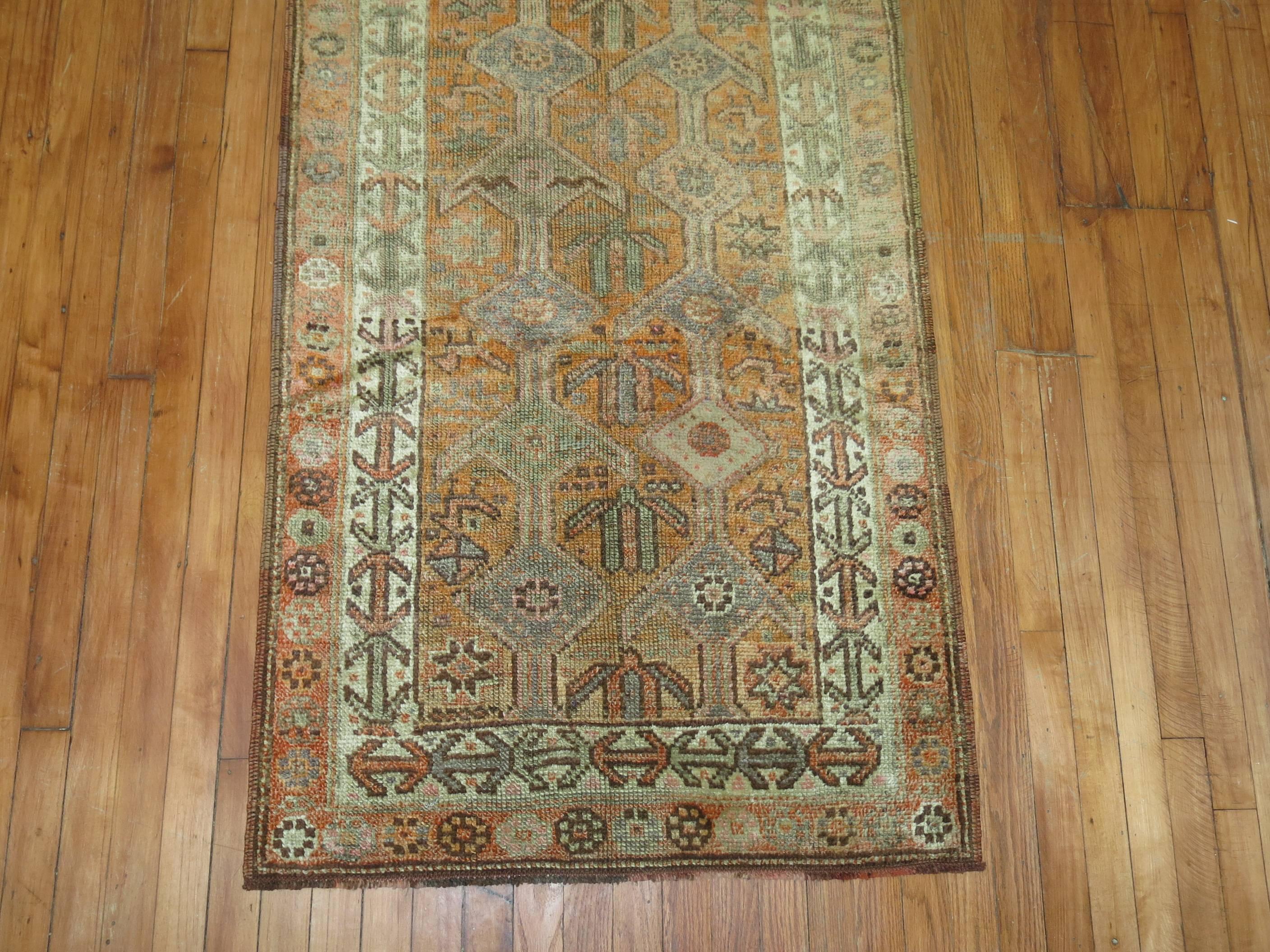 Long Turkish Anatolian runner with an abrashed orange field.