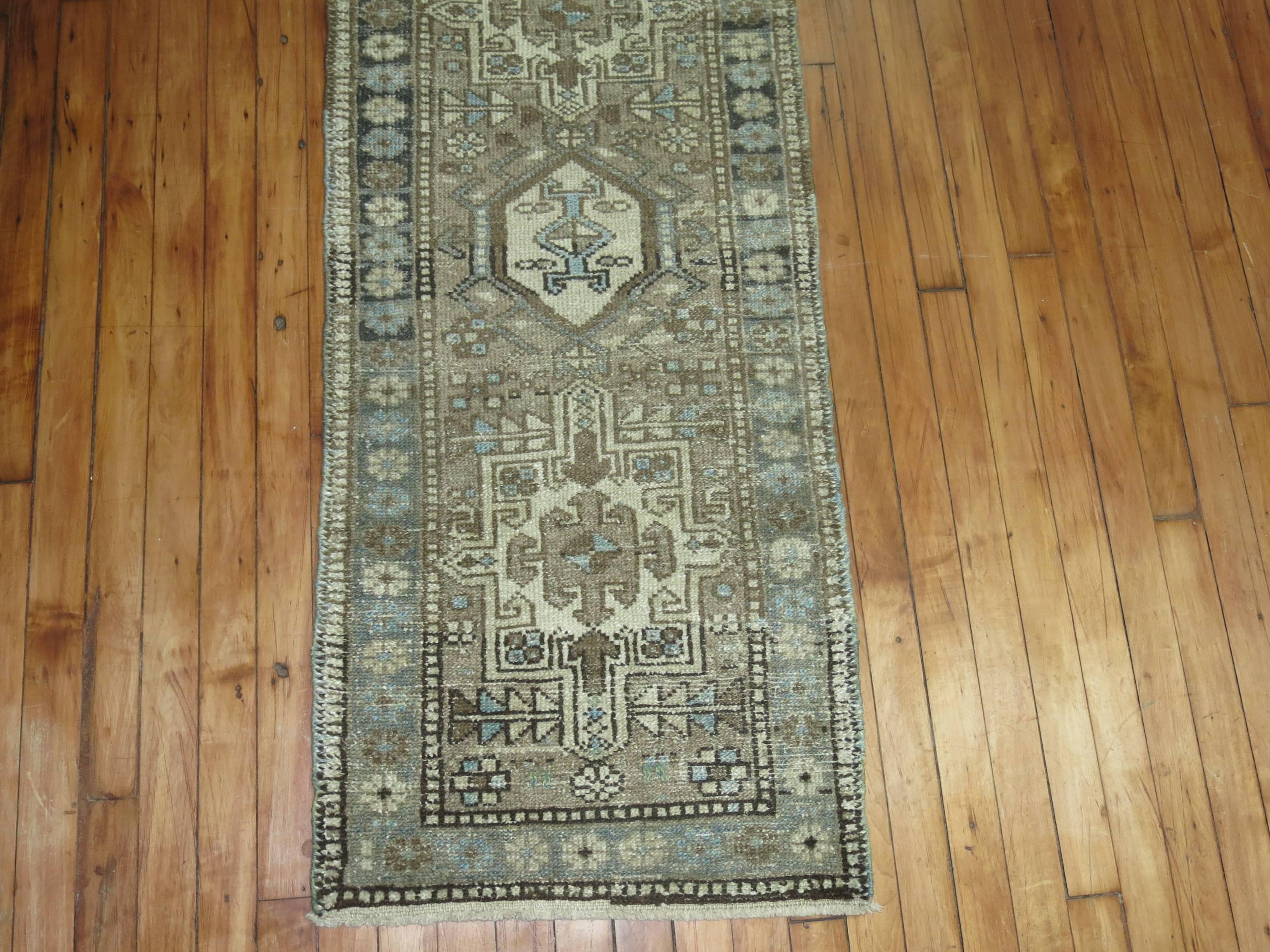 Narrow size Heriz runner in subtle earth tones from the early 20th century

Measures: 1'11