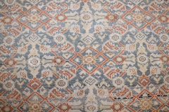 Zabihi Collection Malayer Rug