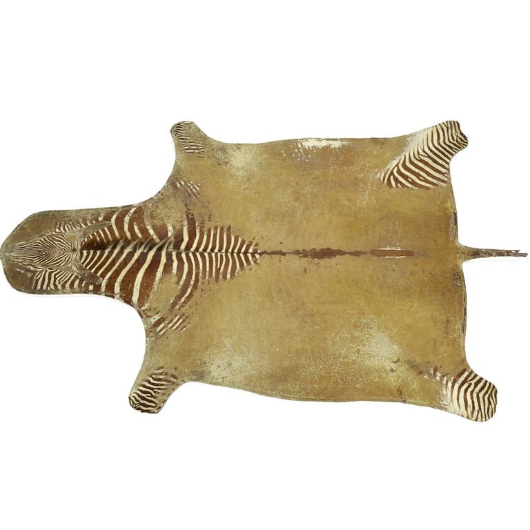 Large Heavily Distressed Antique Burchell Zebra Hide Rug at 1stDibs