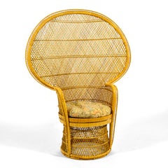 Wicker and Cane Peacock Chair
