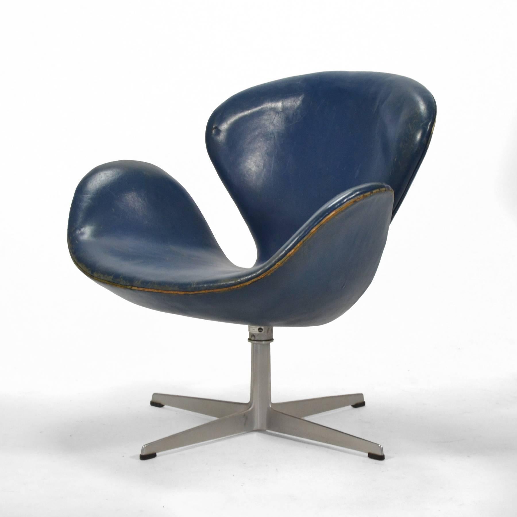 blue swan chair