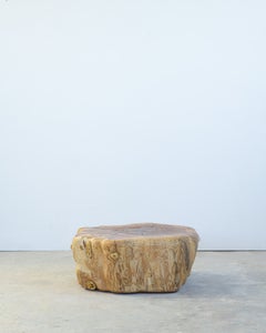 Mesa de centro escultural de Alexander Knysch, de fresno y cerámica, Alemania