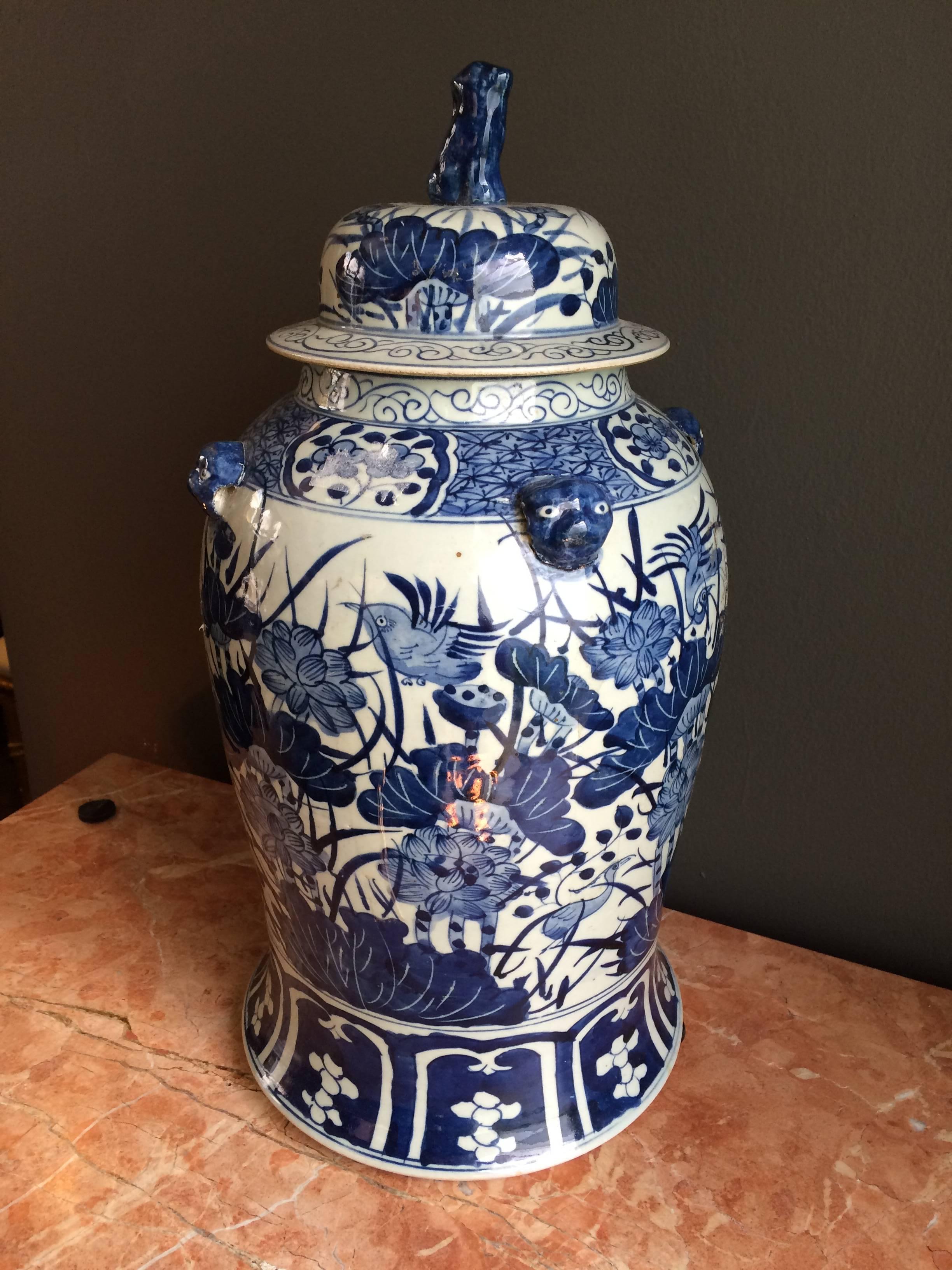 Contemporary Attractive Blue and White Chinese Export Lidded Baluster Jar
