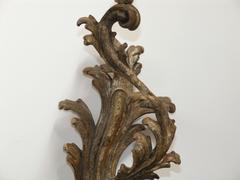Pair of Italian Silver Giltwood Sconces