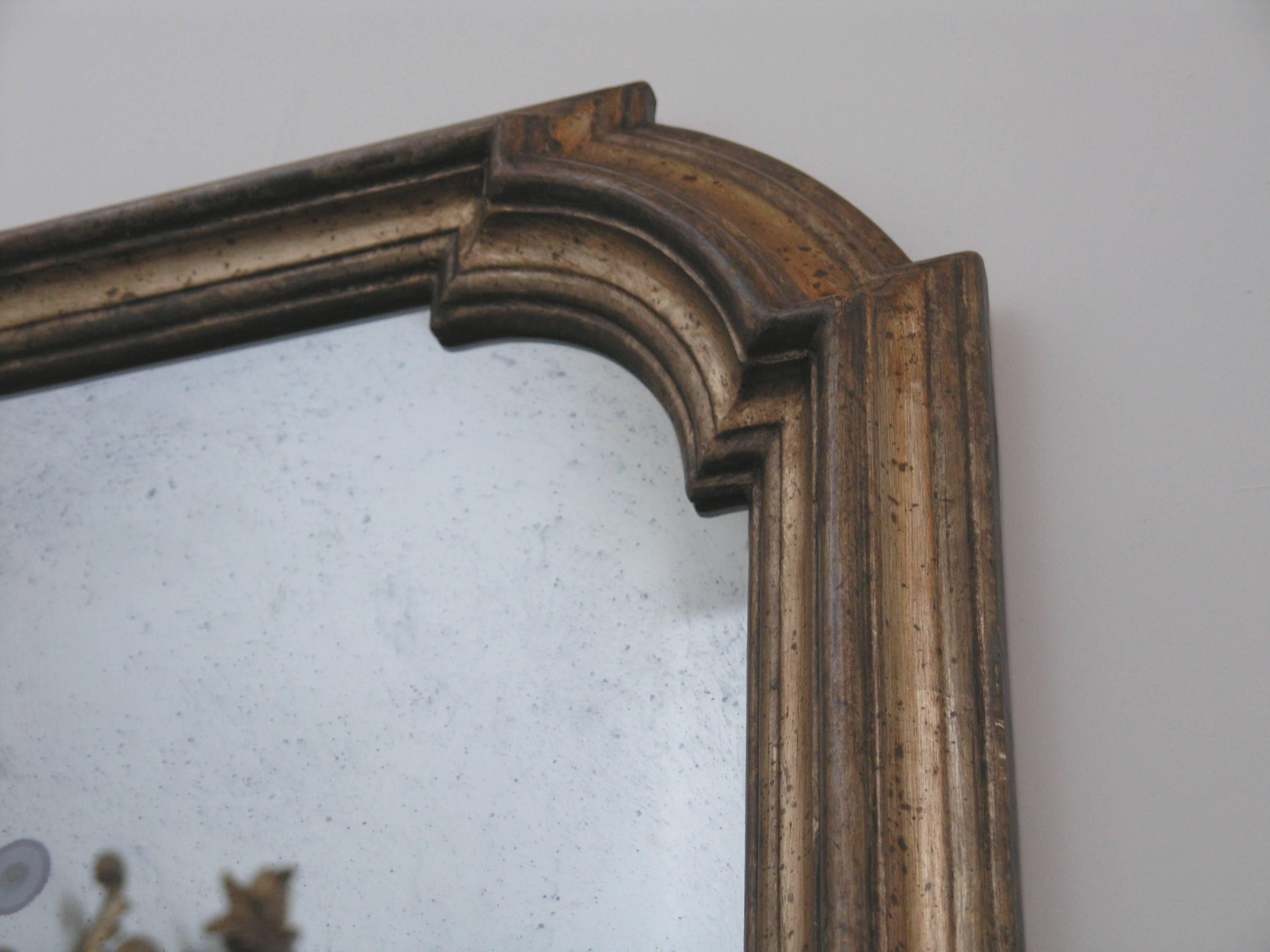 19th Century Italian Silver Giltwood Mirror