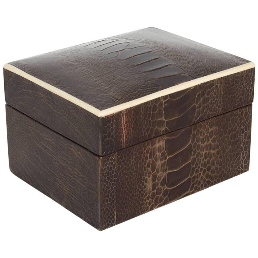 Stunning organic modern decorative box wrapped in exotic ostrich leather with bone inlay trim. All handcrafted in fine leather hand dyed in brown espresso, with palmwood interiors. Great storage accessory for a desk, vanity, or coffee table. Box