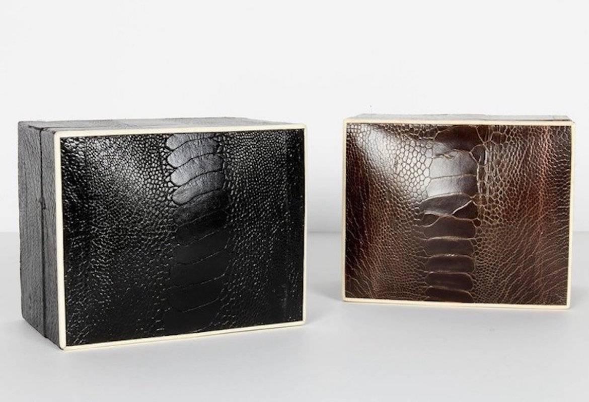 Organic Modern Exotic Ostrich Brown Leather Decorative Box with Bone Inlay
