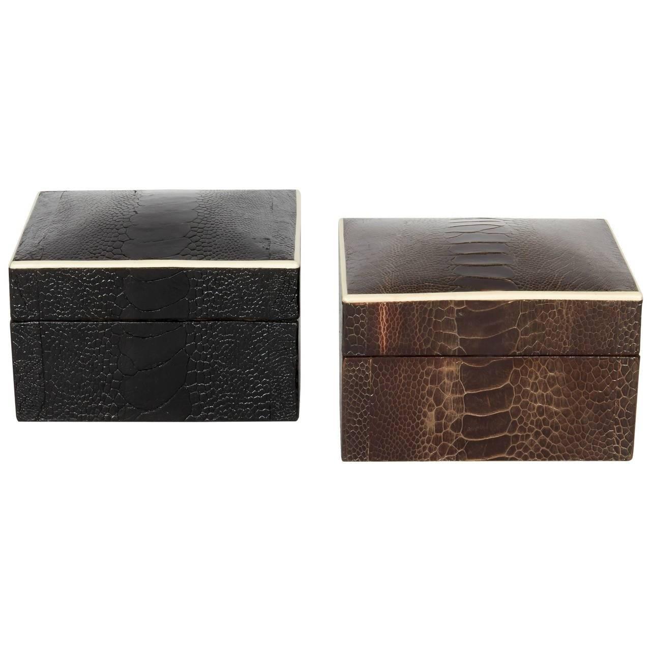 Contemporary Exotic Ostrich Brown Leather Decorative Box with Bone Inlay