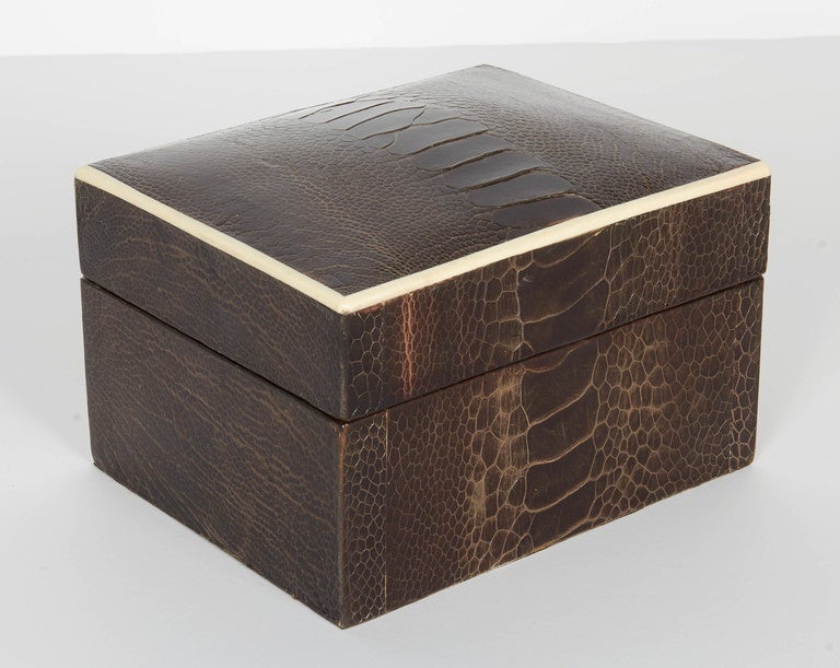 French Pair Exotic Ostrich Leather Decorative Boxes with Bone Inlay in Black & Brown 