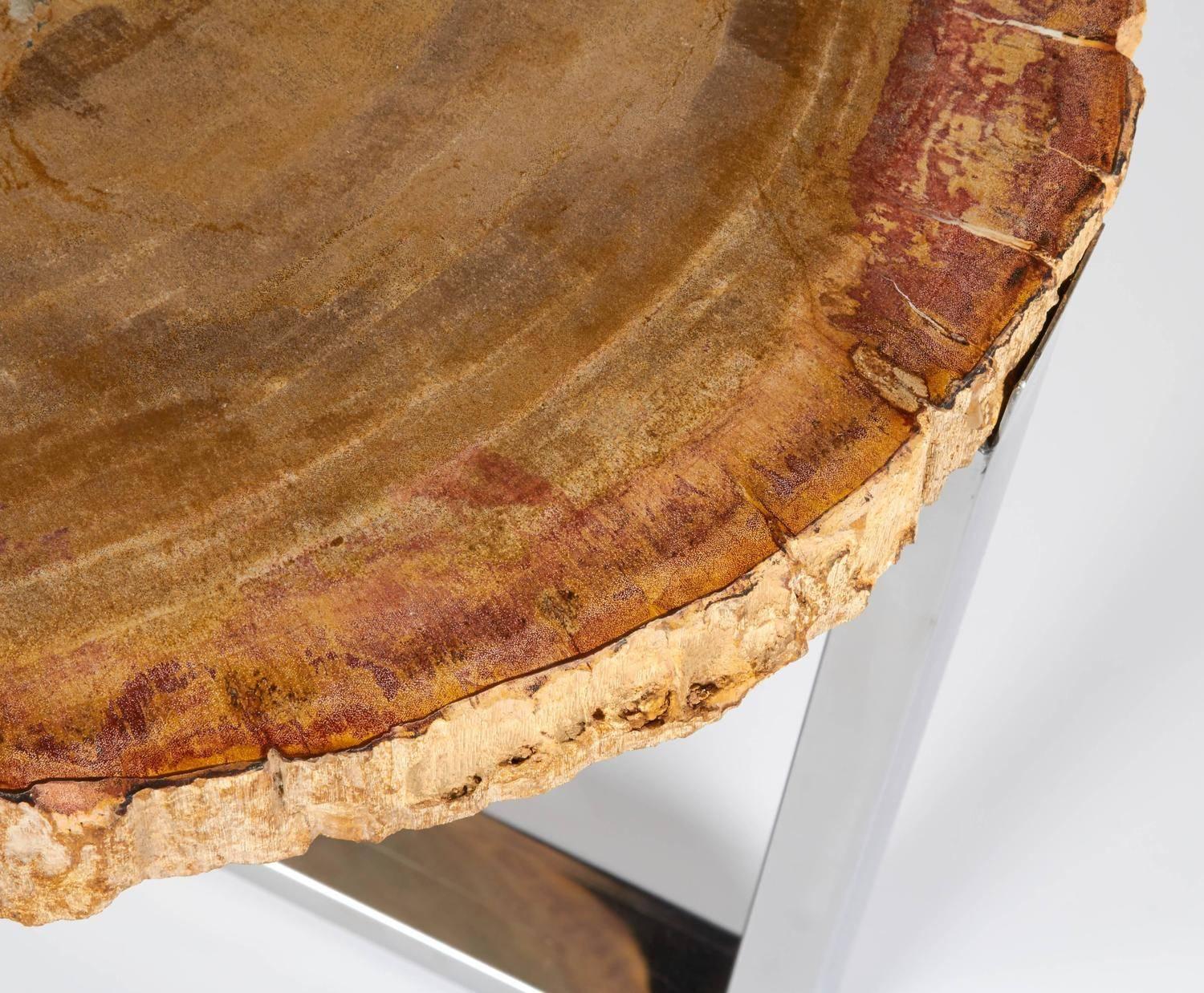 Late 20th Century Organic Modern Petrified Wood Table with Custom Chrome Base