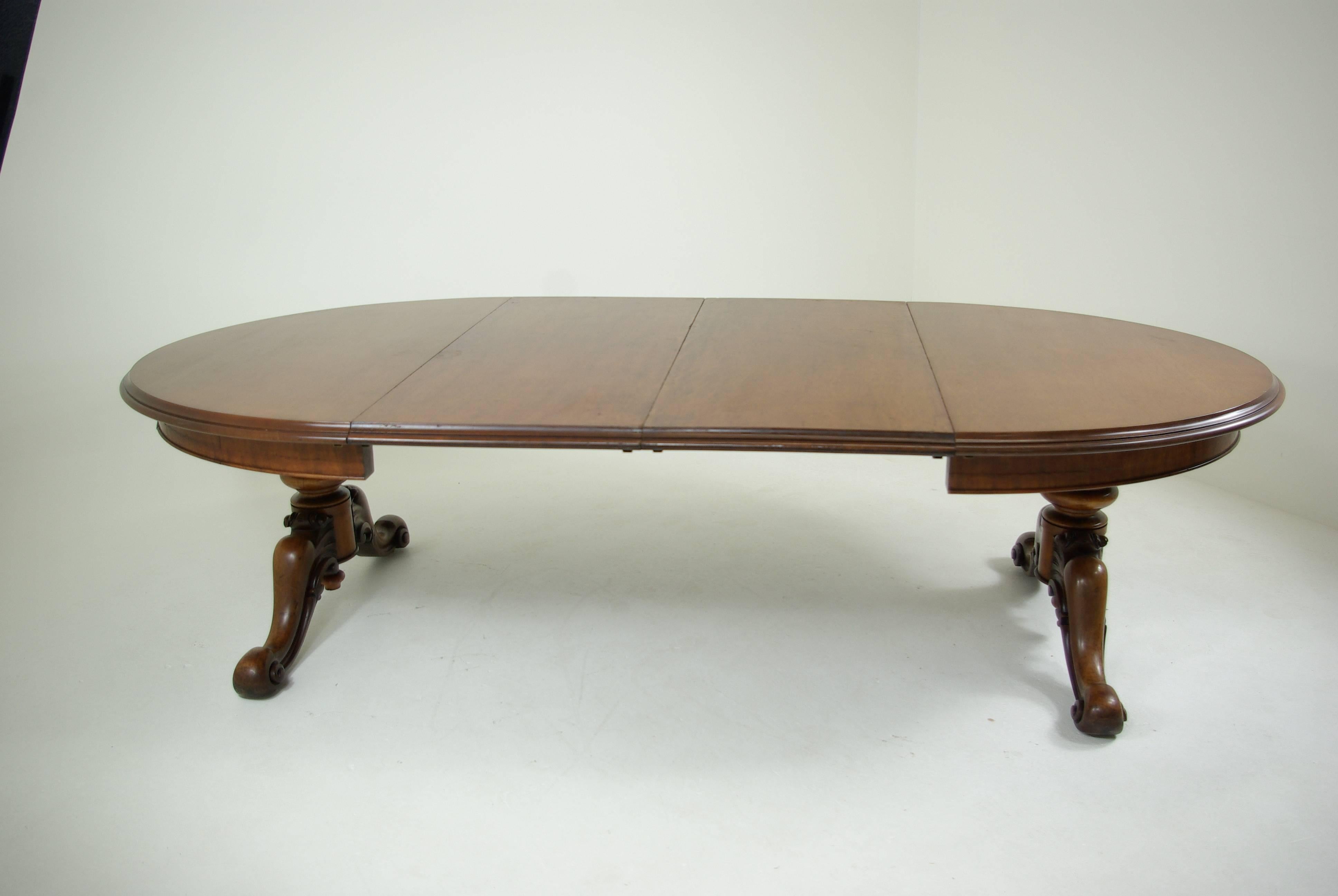 Mid-19th Century B305 Antique Scottish Oval Mahogany Dining Table, Carved Pedestals, 2 lg. Leaves